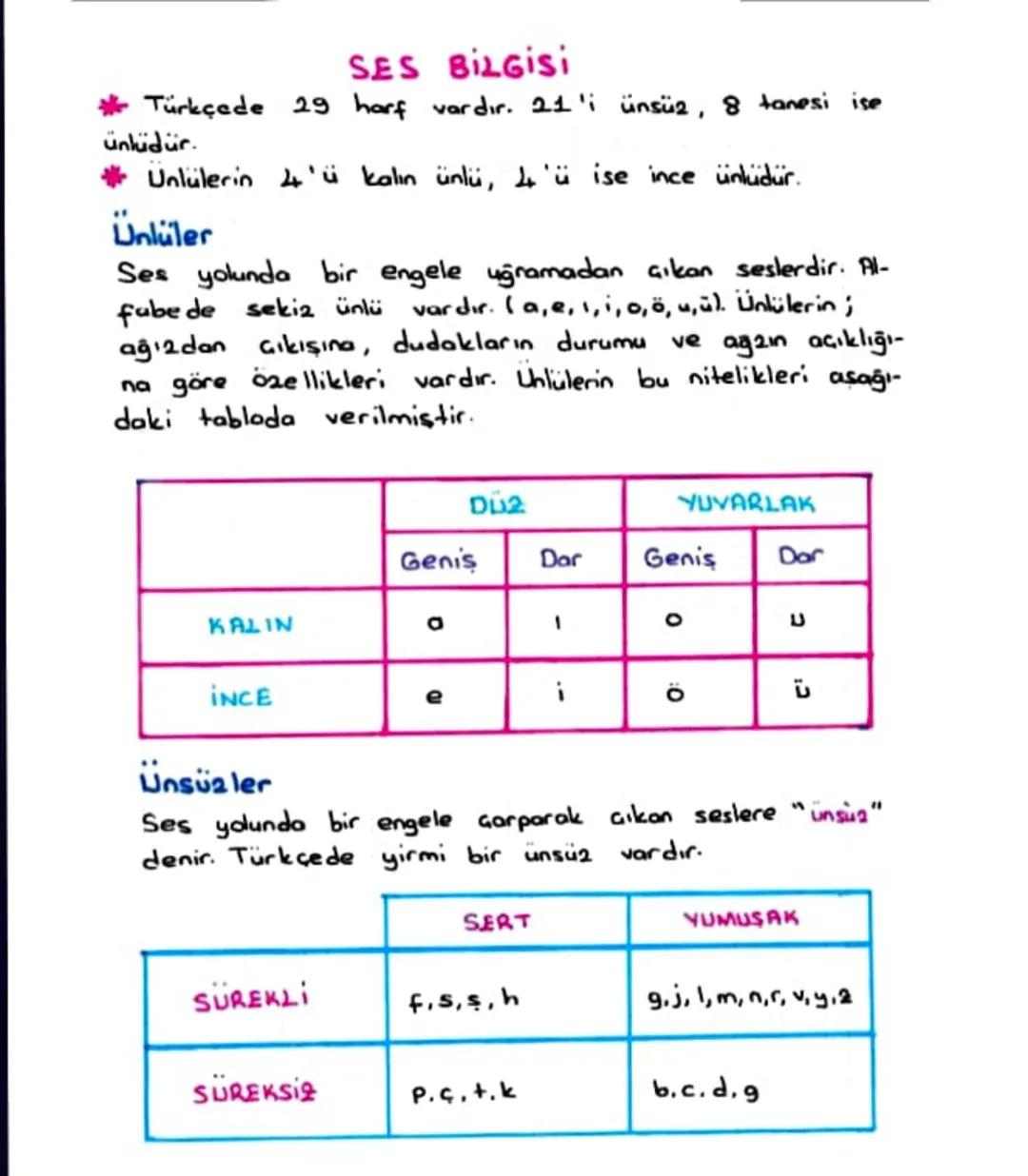 SES BILGISI
Türkçede 29 harf vardır. 21'i ünsüz, 8 tanesi ise
ünlüdür.
Ünlülerin 4'ü kalın ünlü, 4'ü ise ince ünlüdür.
Ünlüler
Ses yolunda b
