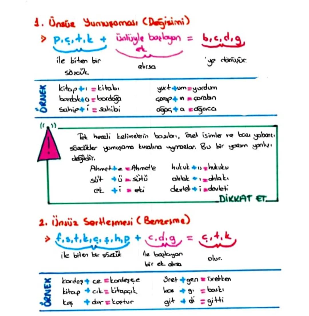 SES BILGISI
Türkçede 29 harf vardır. 21'i ünsüz, 8 tanesi ise
ünlüdür.
Ünlülerin 4'ü kalın ünlü, 4'ü ise ince ünlüdür.
Ünlüler
Ses yolunda b