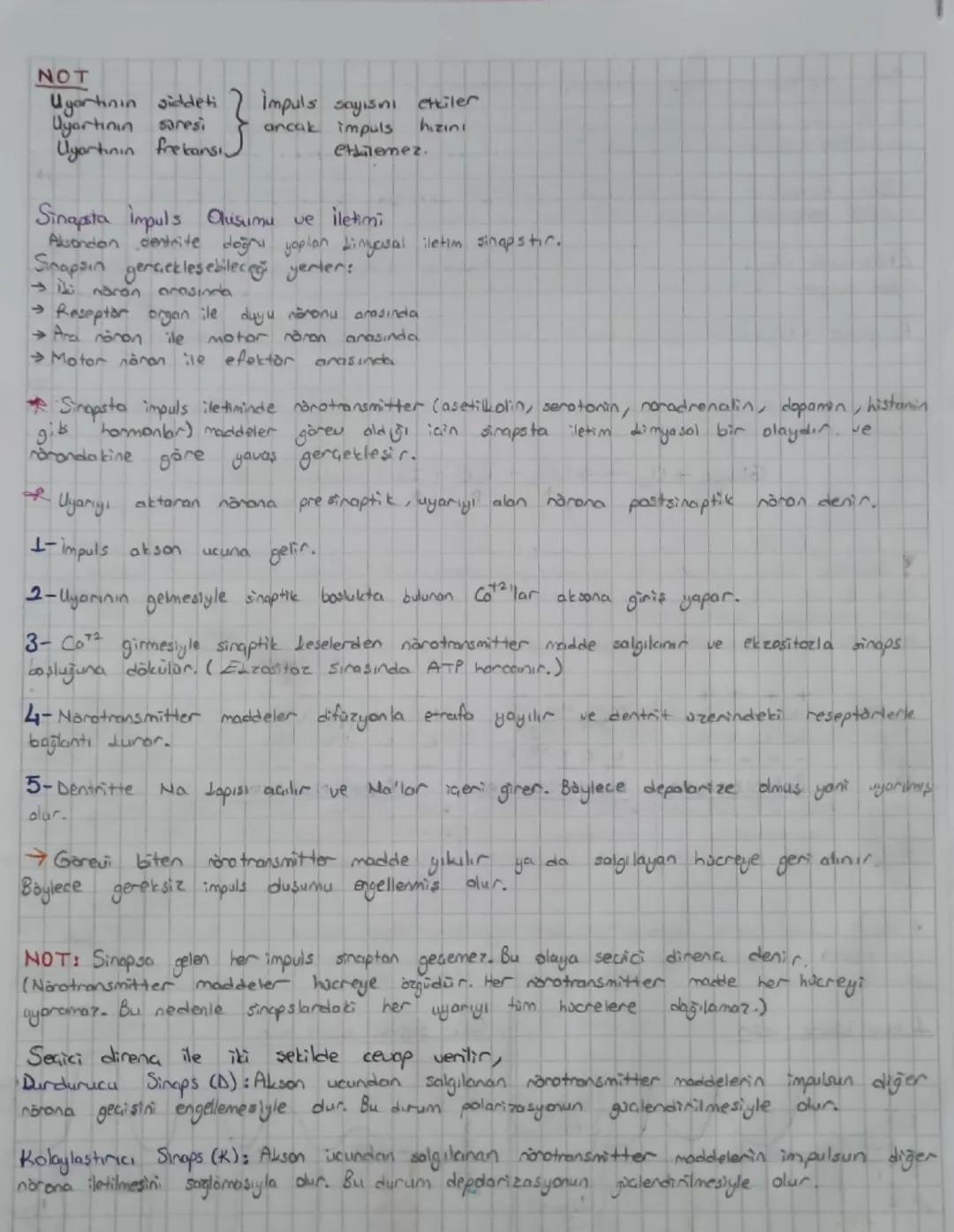 Canlının iç
SINIR SISTEMI
veya diş çevre ile arasındaki etkileşimi yöneten sistemdir.
Temel organları:
Beyin
→ Omurilik
Sinir
Sistemi
Yardım