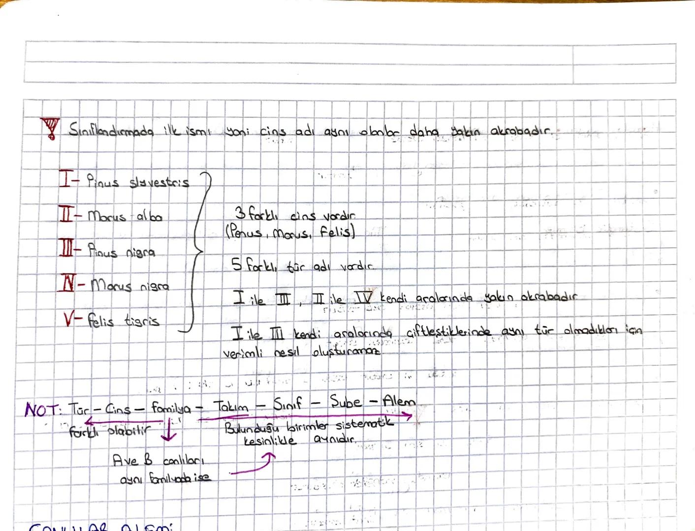 Canlıların Sınıflandırılması
Conlibri bir düzen içerisinde.
daha kolay Incelemek biyoges itliliği anlayabilmek ve canlılar için tim.
dinsada