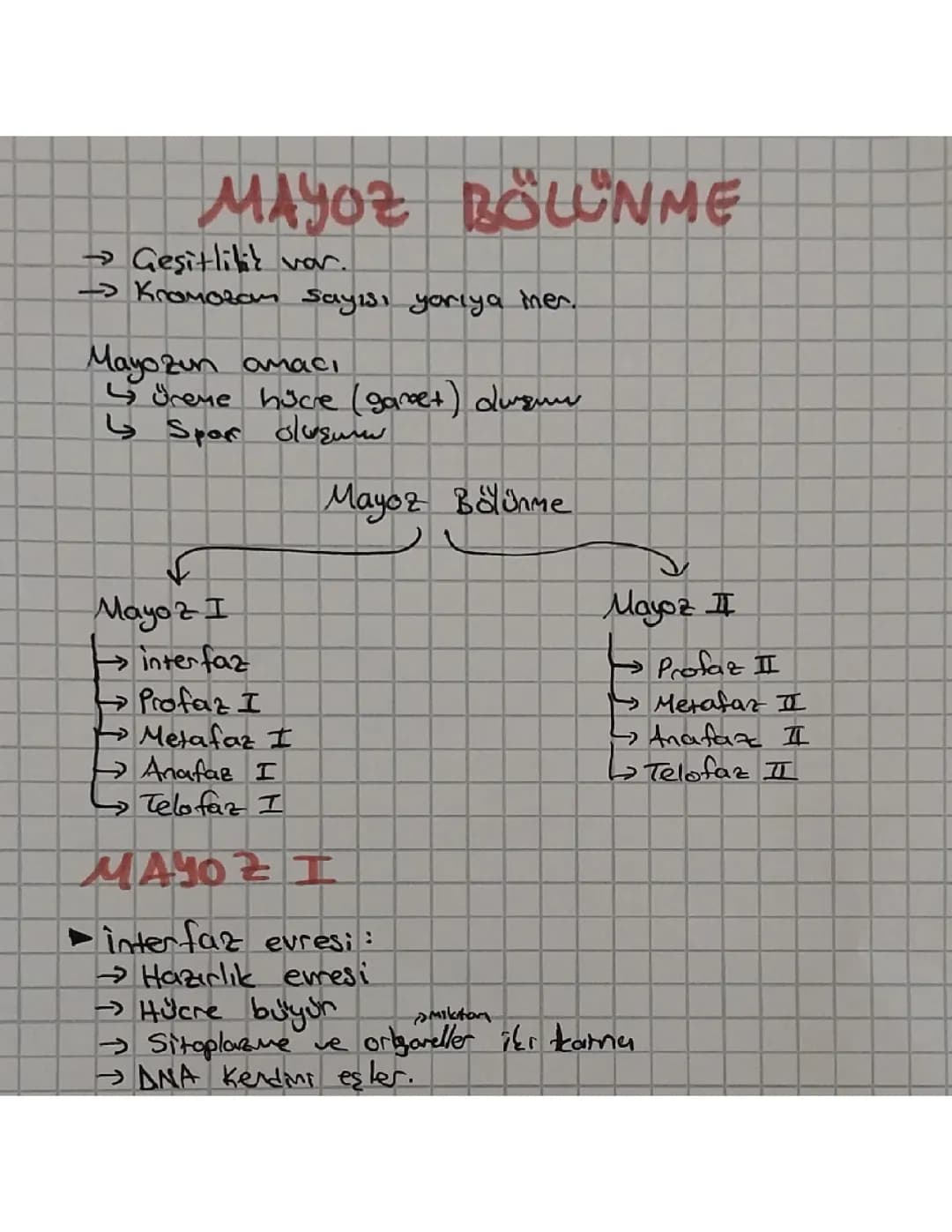 10. Sinif biyoloji