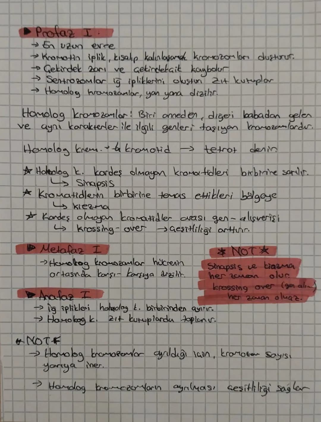MAYOZ BÖLÜNME
→ Geşitlilik var.
→ Kromozom Sayısı yarıya men.
Mayozun amacı
↳ Spar oluşum
Üreme hücre (garet) duzue
Mayoz I
interfaz
→Profaz
