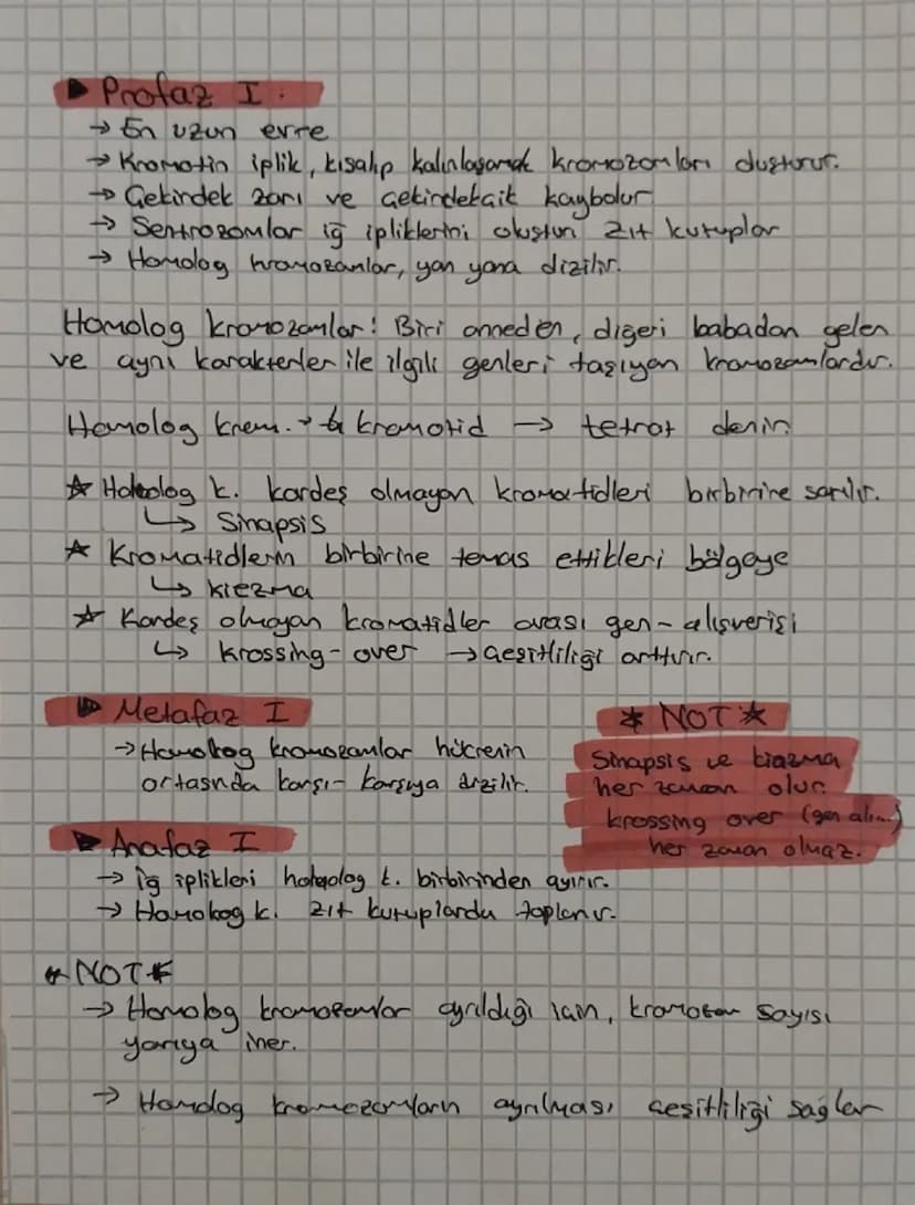 MAYOZ BÖLÜNME
→ Geşitlilik var.
→ Kromozom Sayısı yarıya men.
Mayozun amacı
↳ Spar oluşum
Üreme hücre (garet) duzue
Mayoz I
interfaz
→Profaz