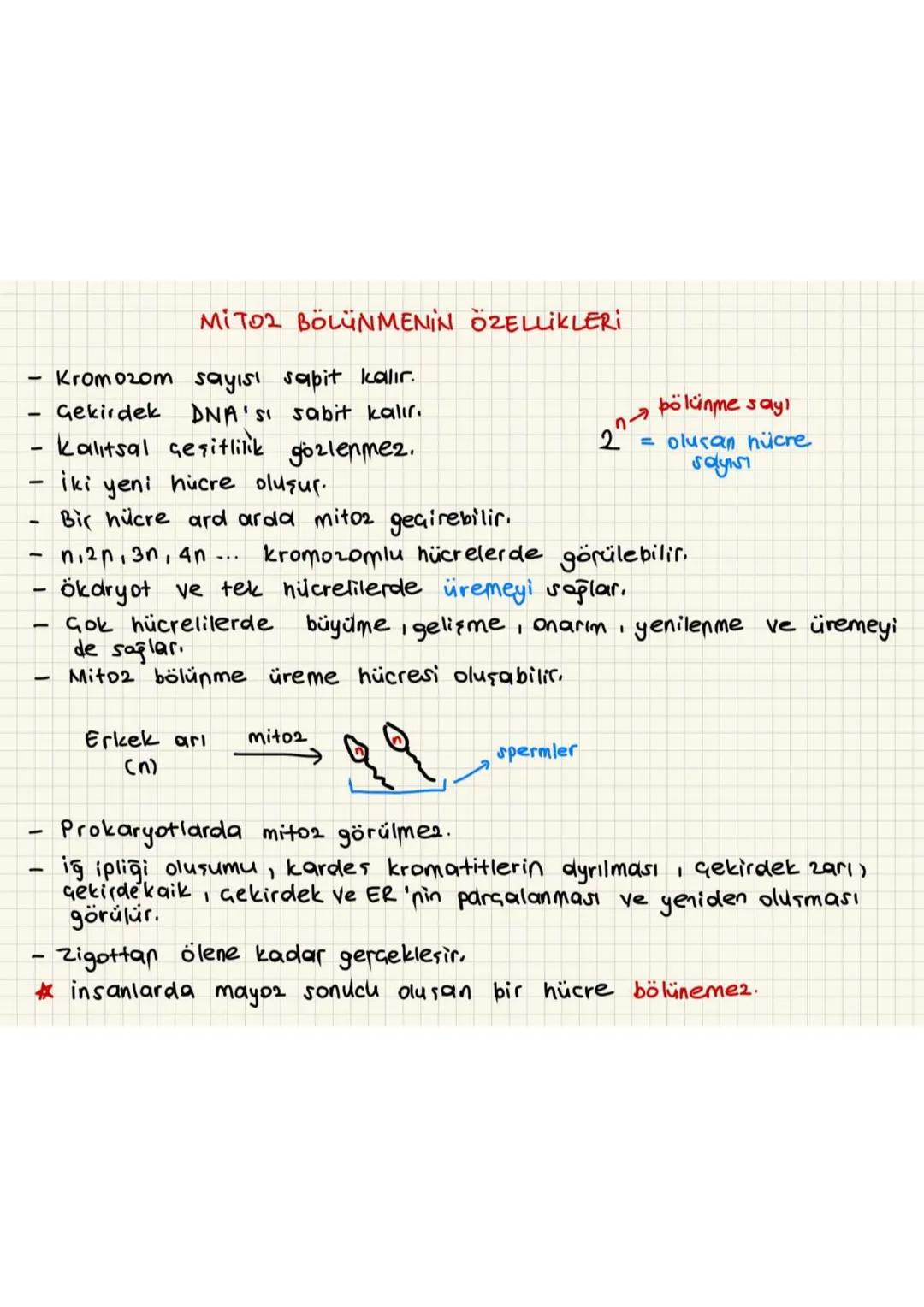 MITO2 BÖLÜNMENİN ÖZELLİKLERİ
-
Kromozom sayısı sapit kalır.
→
bölünme sayı
= olucan hücre
Sayısı
1
-
Gekirdek DNA'sı sabit kalır.
kalitsal ç