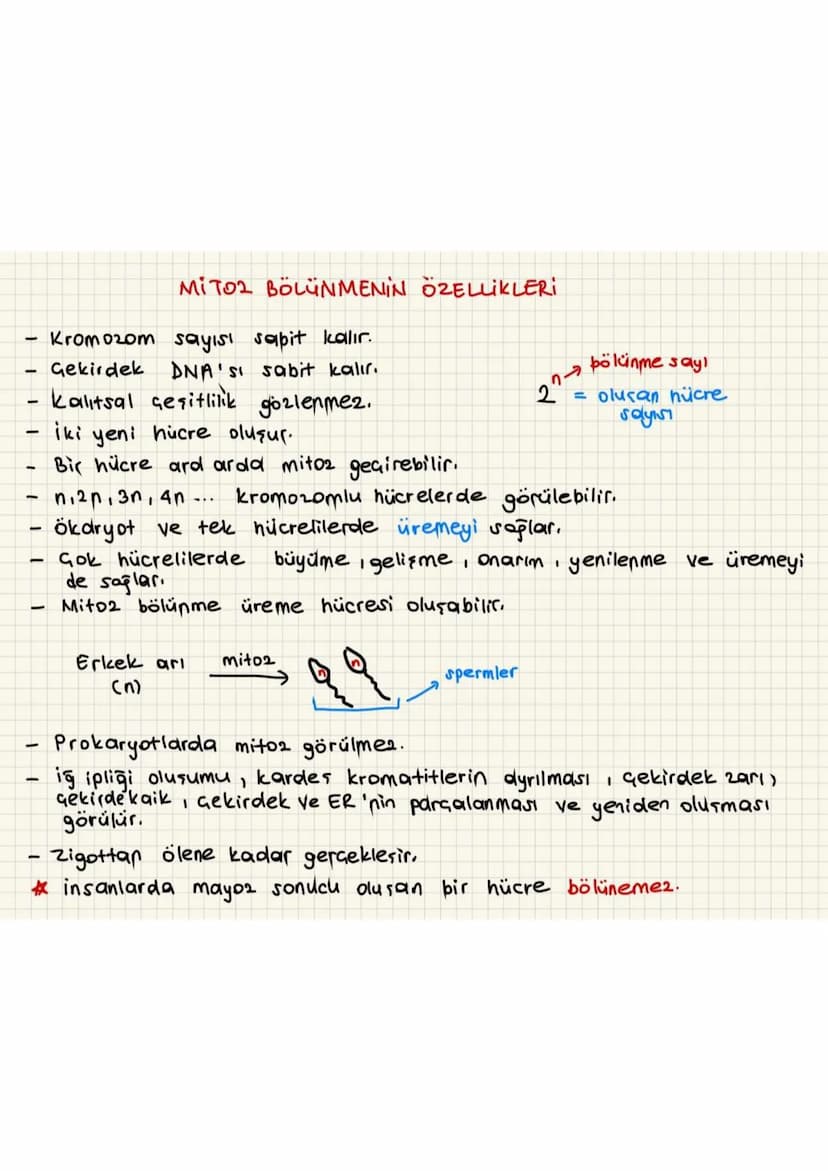 MITO2 BÖLÜNMENİN ÖZELLİKLERİ
-
Kromozom sayısı sapit kalır.
→
bölünme sayı
= olucan hücre
Sayısı
1
-
Gekirdek DNA'sı sabit kalır.
kalitsal ç