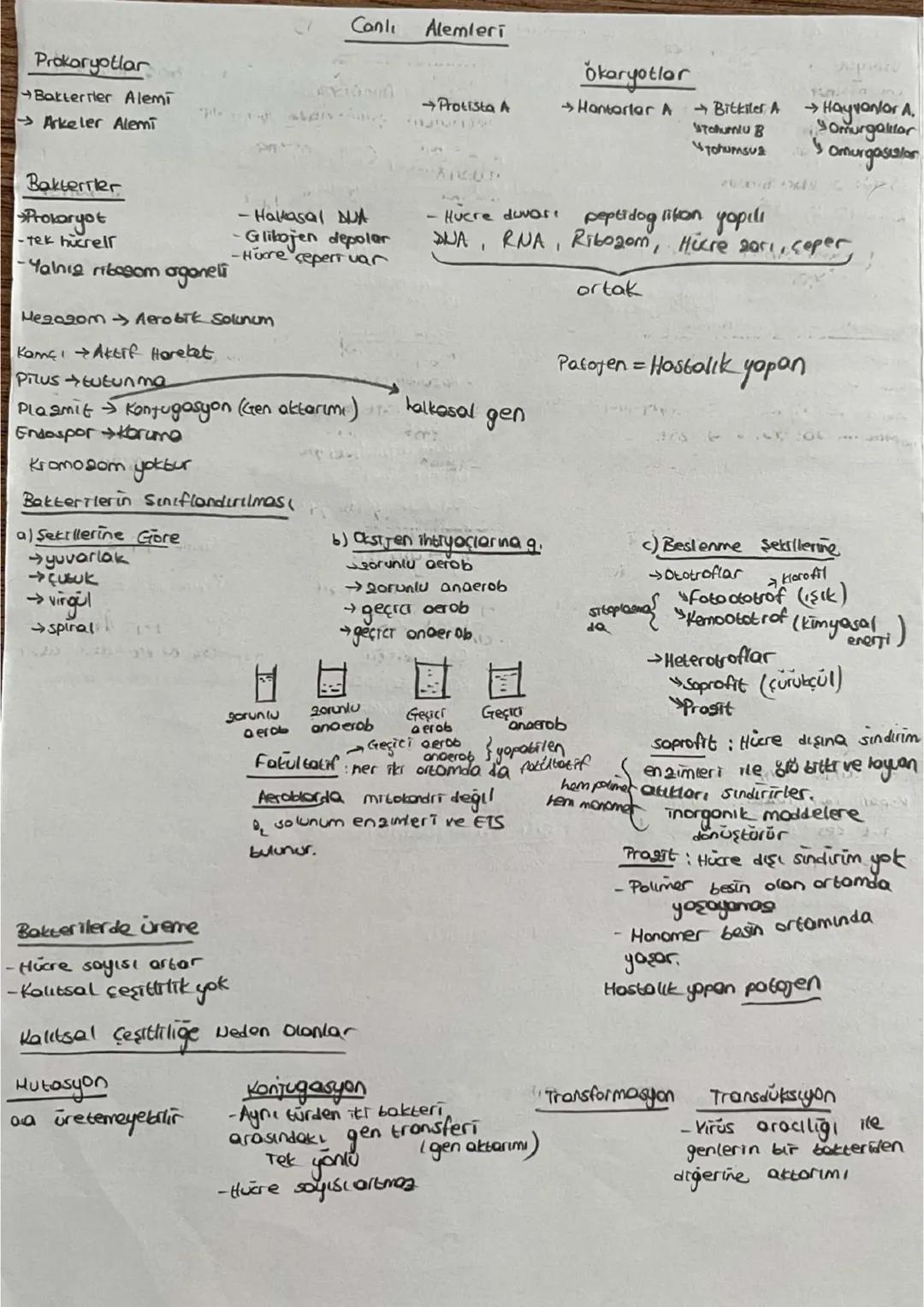 Yapay (Ampirit) Gunumuzde yok
-Aristo yapmis
-canlının dış gorunusu, → Bilimsel
yasadig ortam
-Analog organ
- Aristo conluları bitkiler
ve h