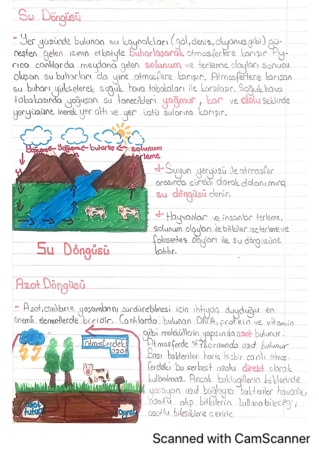 Su Döngüsü
-Yer yüzünde bulunan su kaynakları (göl, deniz, okyanus gibi) gü-
neşten gelen ısının etkisiyle buharlaşarak atmosferlere karışır