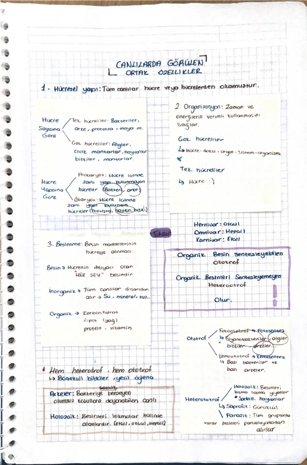 9. Sinif Biyoloji Canlilarin ozellikleri