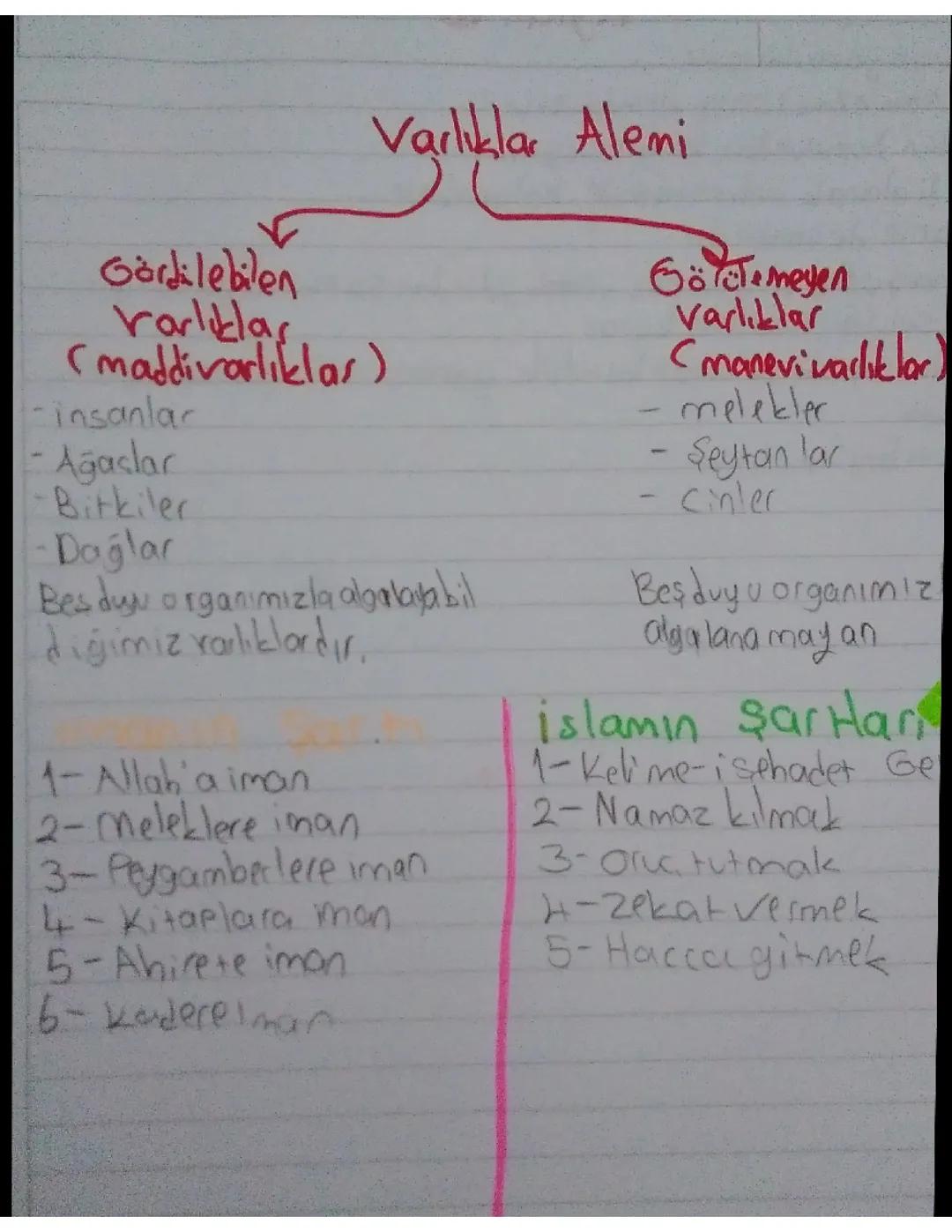 7.sınıf Varlıklar Alemi din kültürü 