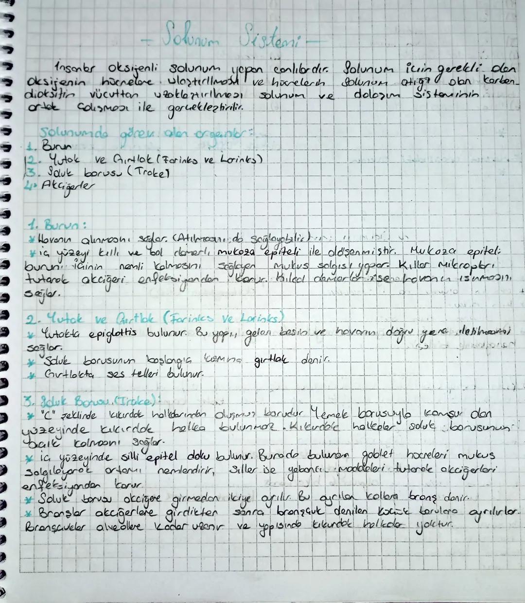 Solunum Sistemi
yepon
gerekli
den
Insanber oksijenli solunum
conlilardır. Solunum için.
Oksijenin hücrelere ulasterllmosu ve hücrelerch Вошл