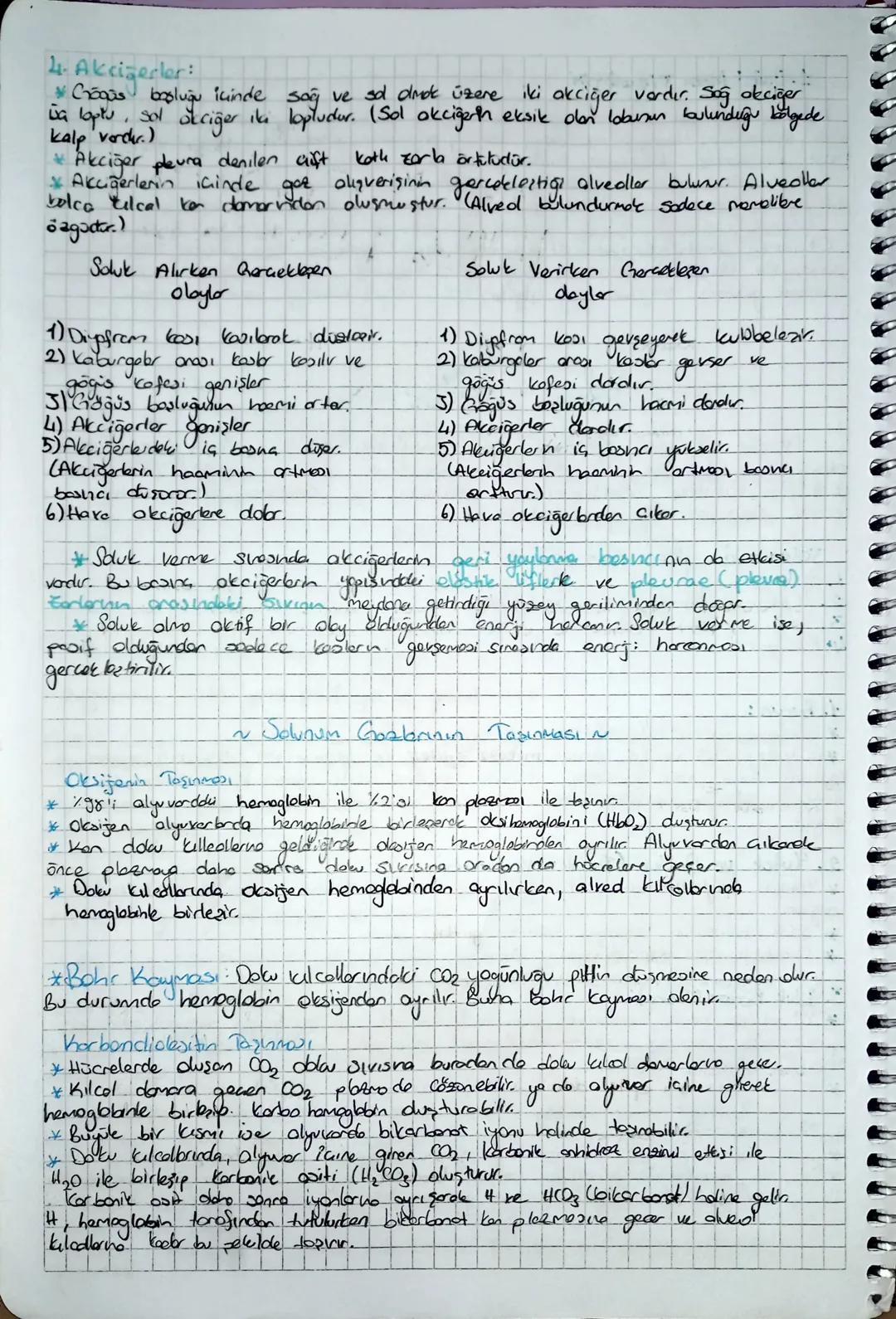 Solunum Sistemi
yepon
gerekli
den
Insanber oksijenli solunum
conlilardır. Solunum için.
Oksijenin hücrelere ulasterllmosu ve hücrelerch Вошл