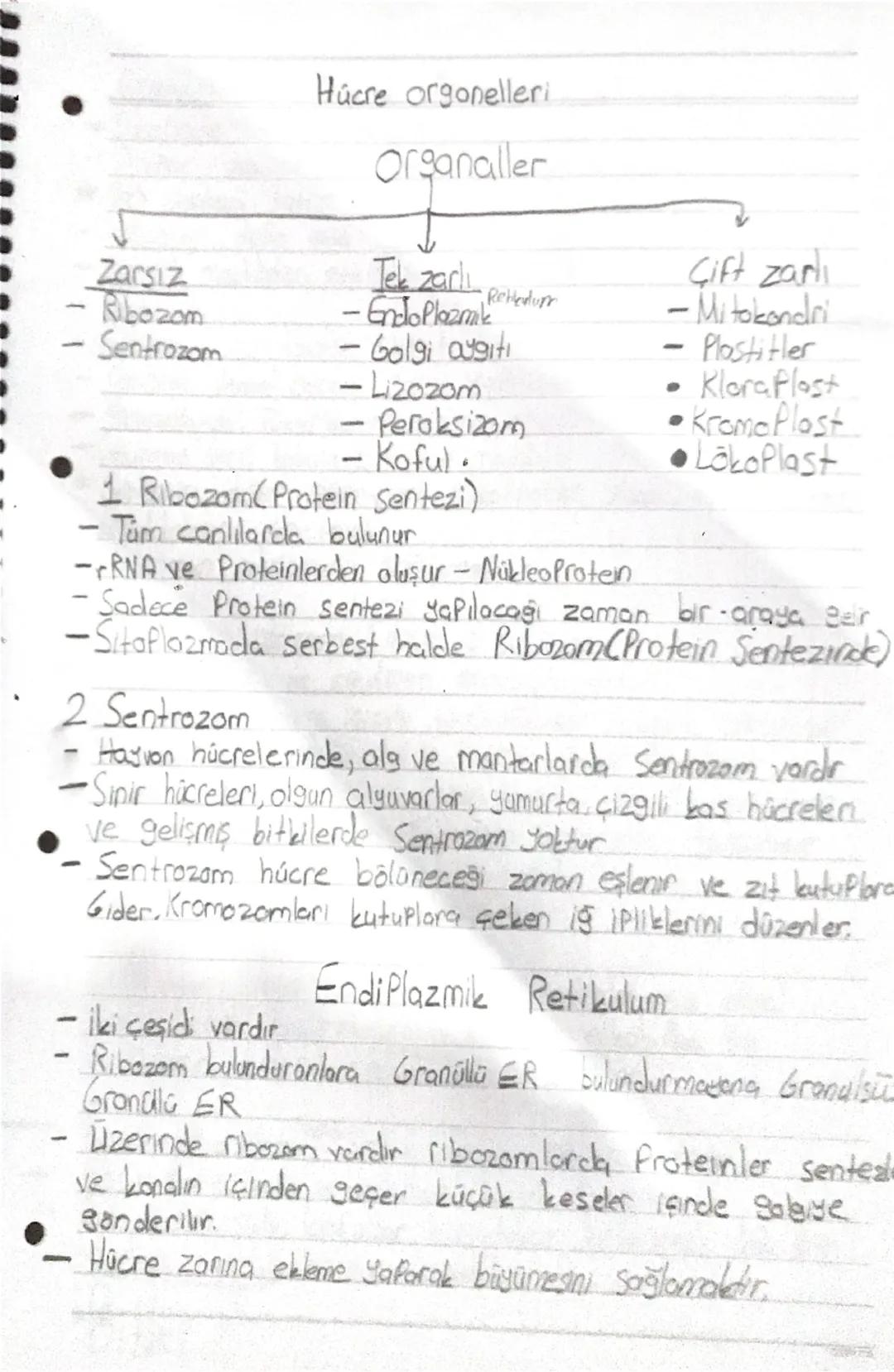 6
-
-
Zarsiz
Ribozom
Sentrozom
Hücre orgonelleri
organaller
Tek zarl
•Endo Plazmak
·Retterdum
-Golgi augiti
-
-Lizozom
Peroksizom
-Kofu).
1 
