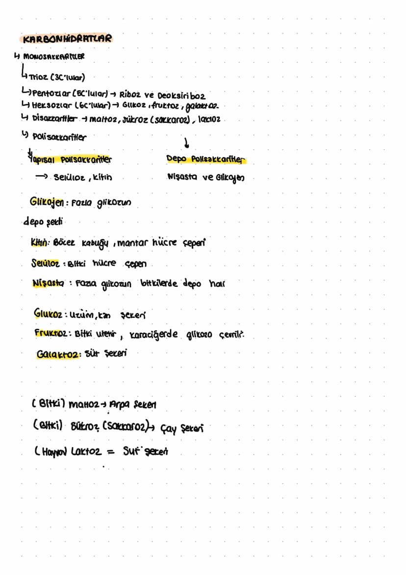 KARBONHIDRATLAR
MONOSAKKARMLER
↳ Trioz (3C-lular)
Lpentozlar (C'lular) → Riboz ve Deoksiribo2
Heksozlar (6c·lular) → Glikoz, fruktoz, galakt