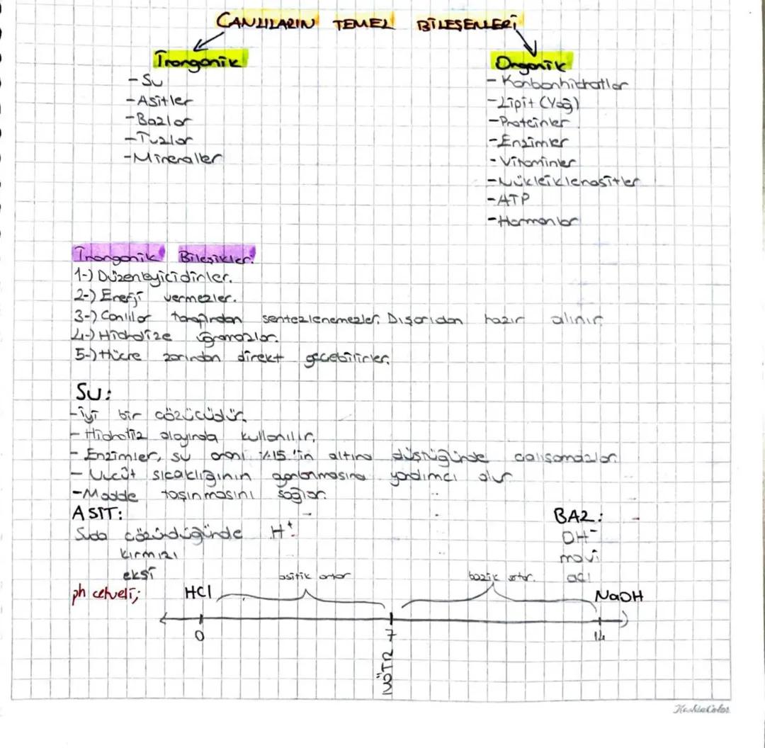 Tyt Bio Organik ve İnorganik Bileşikler