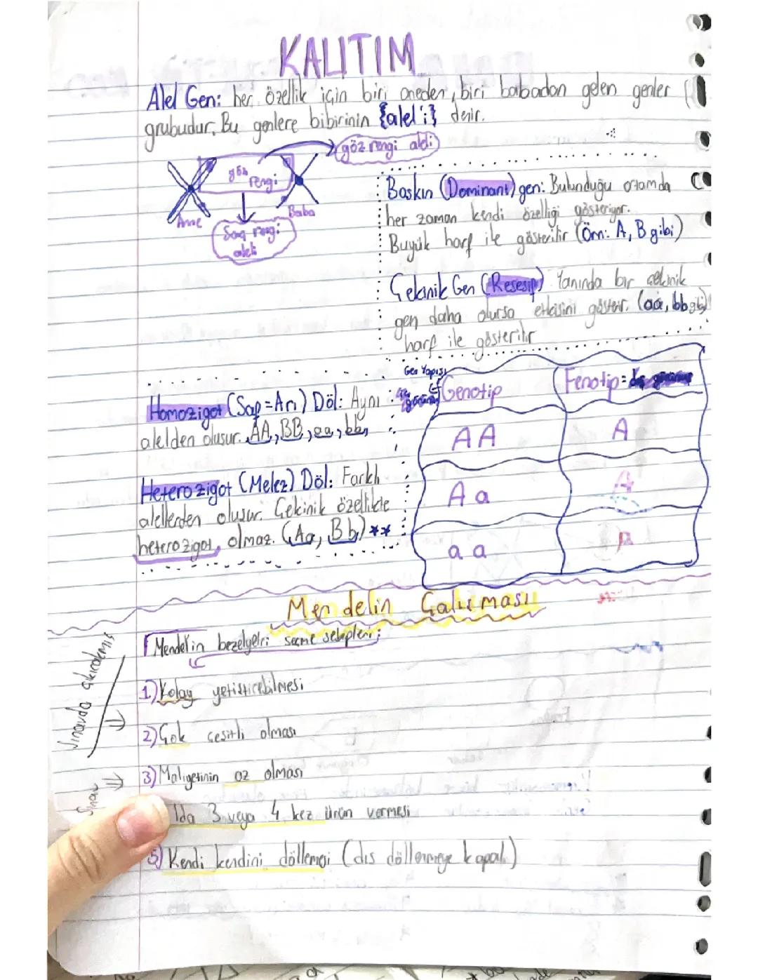 Kalıtım 8. Sınıf fen 📖