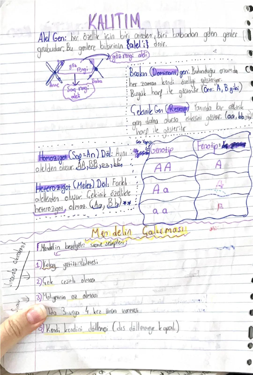 Vinavda qıkıcakemis
KALITIM
Alel Gen: her özellik için biri oneder, biri barbadan gelen gender.
-grubudur. Bu genlere bibirinin {aleli} deni