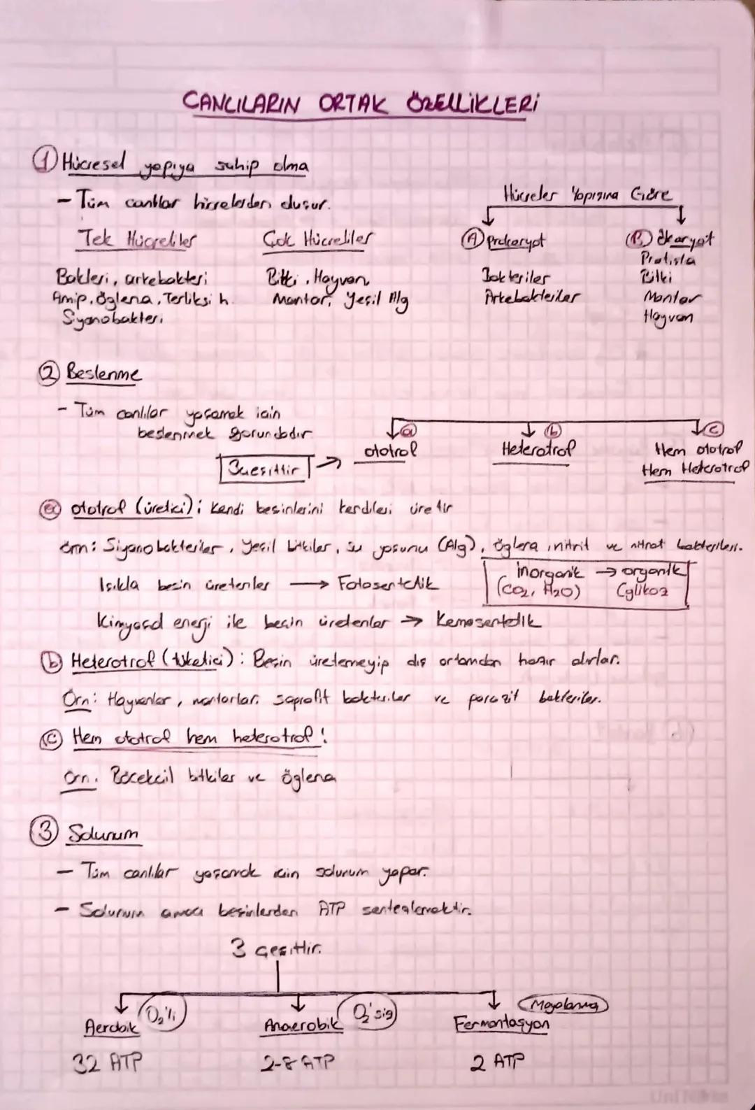 CANLILARIN ORTAK ÖZELLİKLERİ
Hücresel
yapıya sahip olma
- Tüm canlar hicrelerden dusur.
Tek Hücreliler
Hicreler opisina Gore
Cok Hücreliler
