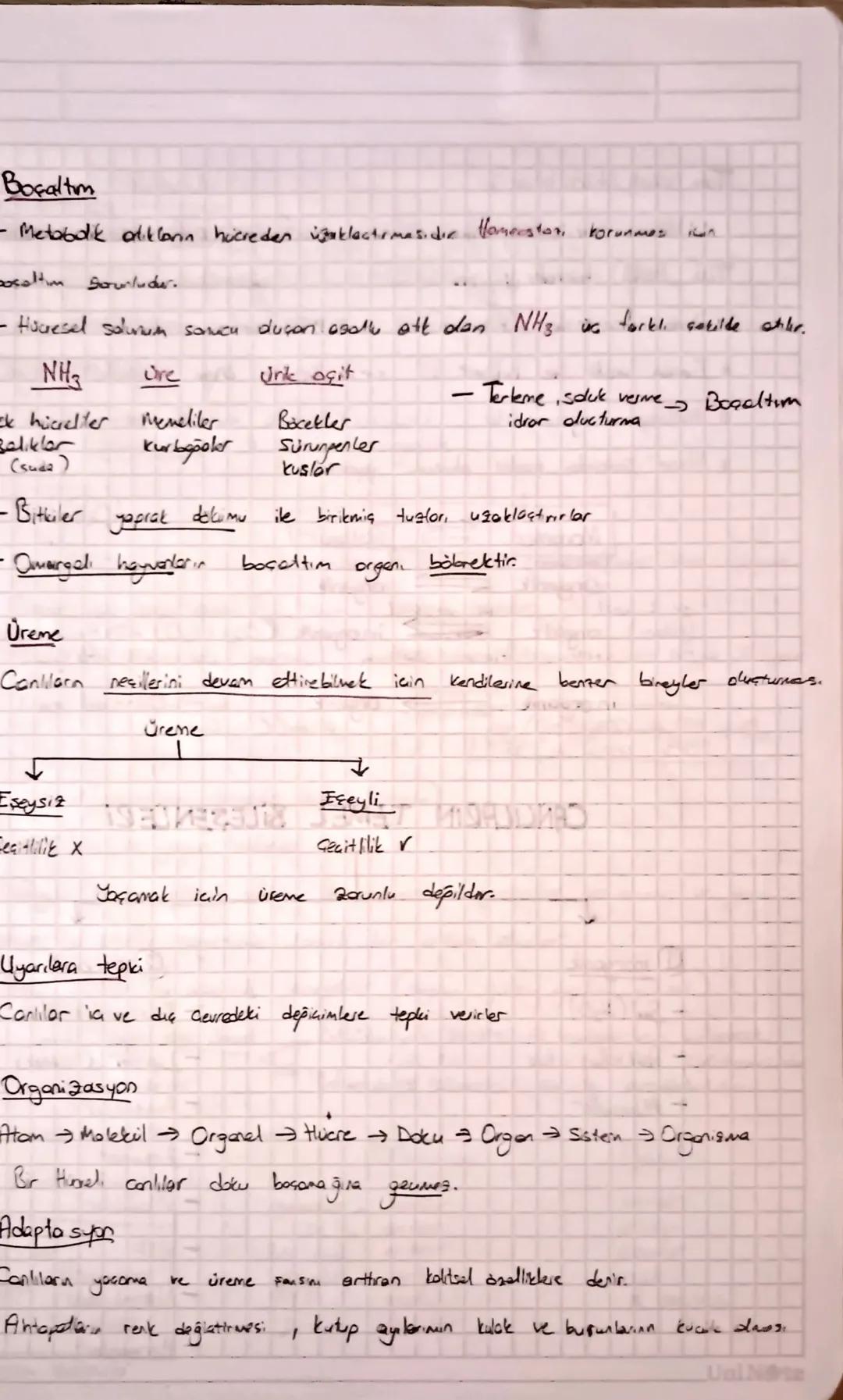 CANLILARIN ORTAK ÖZELLİKLERİ
Hücresel
yapıya sahip olma
- Tüm canlar hicrelerden dusur.
Tek Hücreliler
Hicreler opisina Gore
Cok Hücreliler
