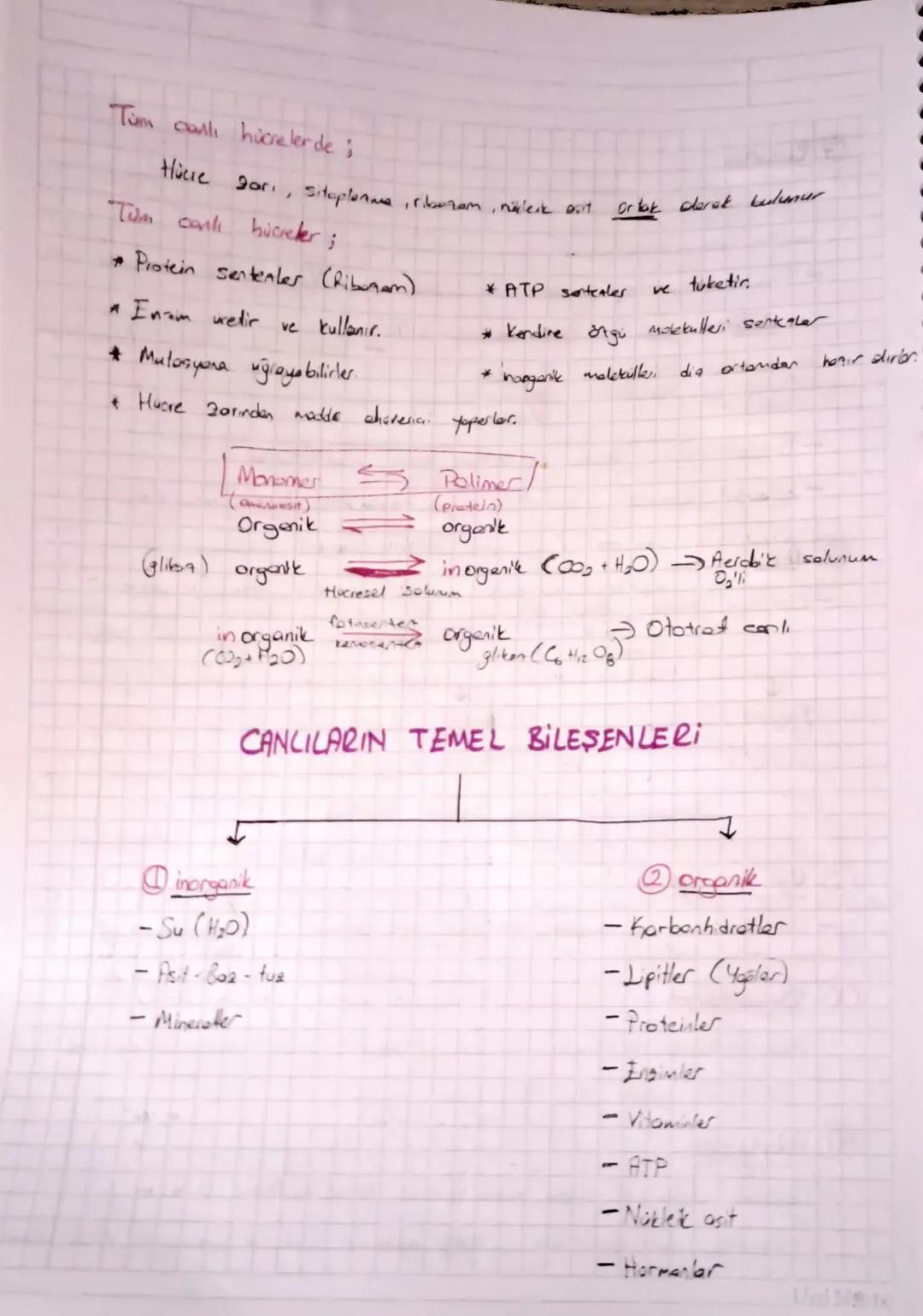 CANLILARIN ORTAK ÖZELLİKLERİ
Hücresel
yapıya sahip olma
- Tüm canlar hicrelerden dusur.
Tek Hücreliler
Hicreler opisina Gore
Cok Hücreliler
