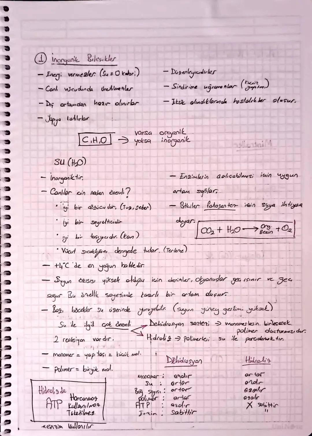 CANLILARIN ORTAK ÖZELLİKLERİ
Hücresel
yapıya sahip olma
- Tüm canlar hicrelerden dusur.
Tek Hücreliler
Hicreler opisina Gore
Cok Hücreliler
