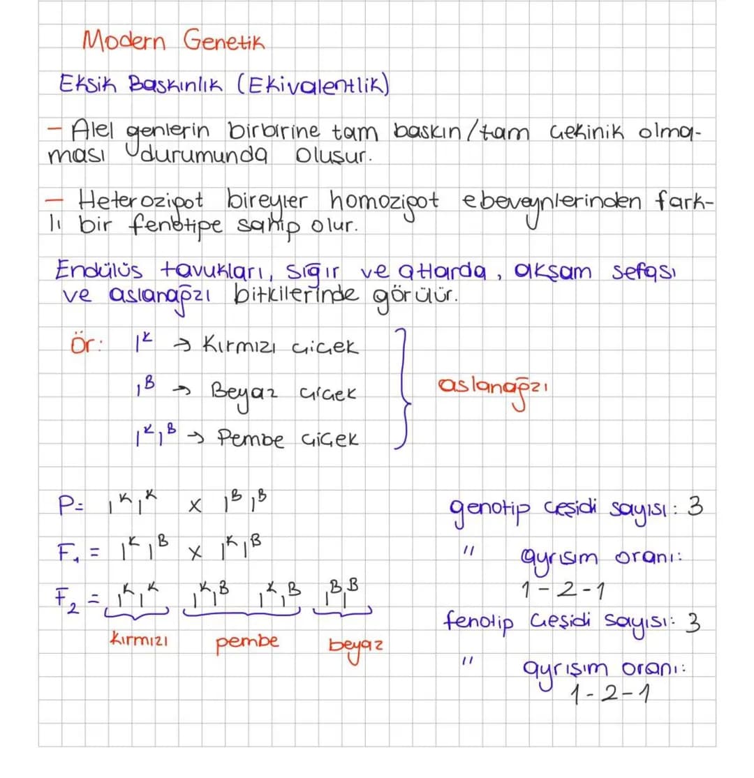 Modern Genetik.
Eksik Baskınlık (Ekivalentlik)
-Alel genlerin birbirine tam baskın/tam çekinik olma-
ması durumunda Oluşur.
Heterozipot bire