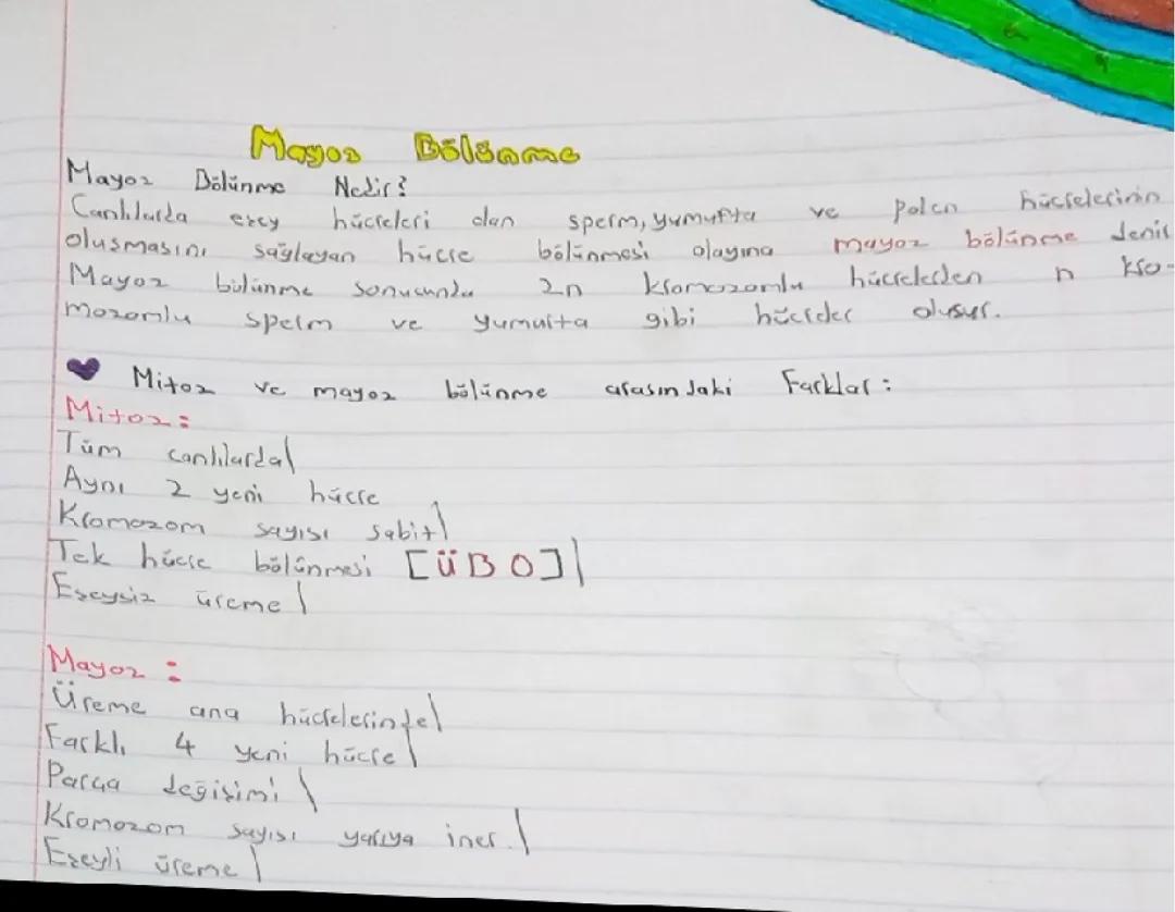 Fen Bilimleri 7. Sınıf: Mayoz ve Mitoz Bölünme Ders Notları