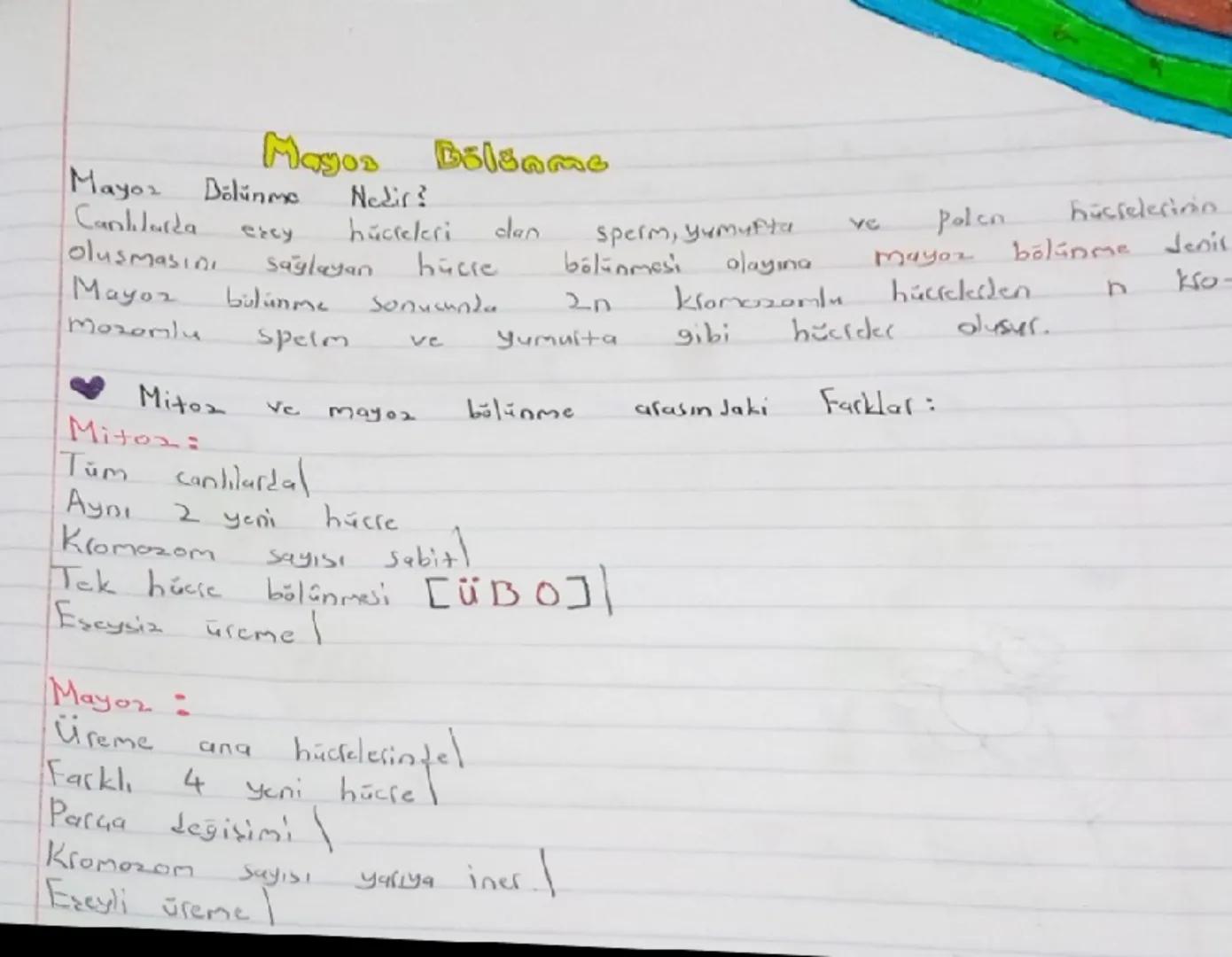 Mayoz
Canhlarda
Magos Bolsame
Dölünme Nedir?
excy
hücreleri
dan
Sperm, yumufta
VC
Palco
hüsselerinin
oluşmasın
Sağlayan
hücre
bölünmesi
olay