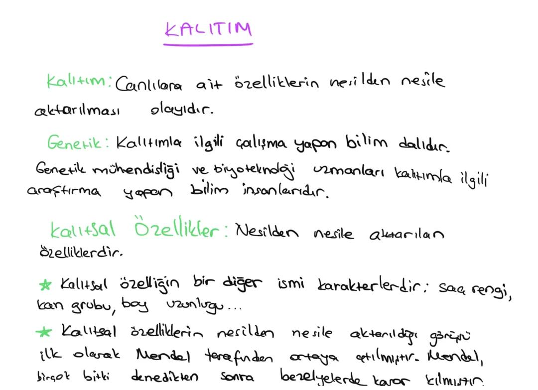 8. Sınıf Fen Bilimleri: Kalıtım Konusu Ders Notları