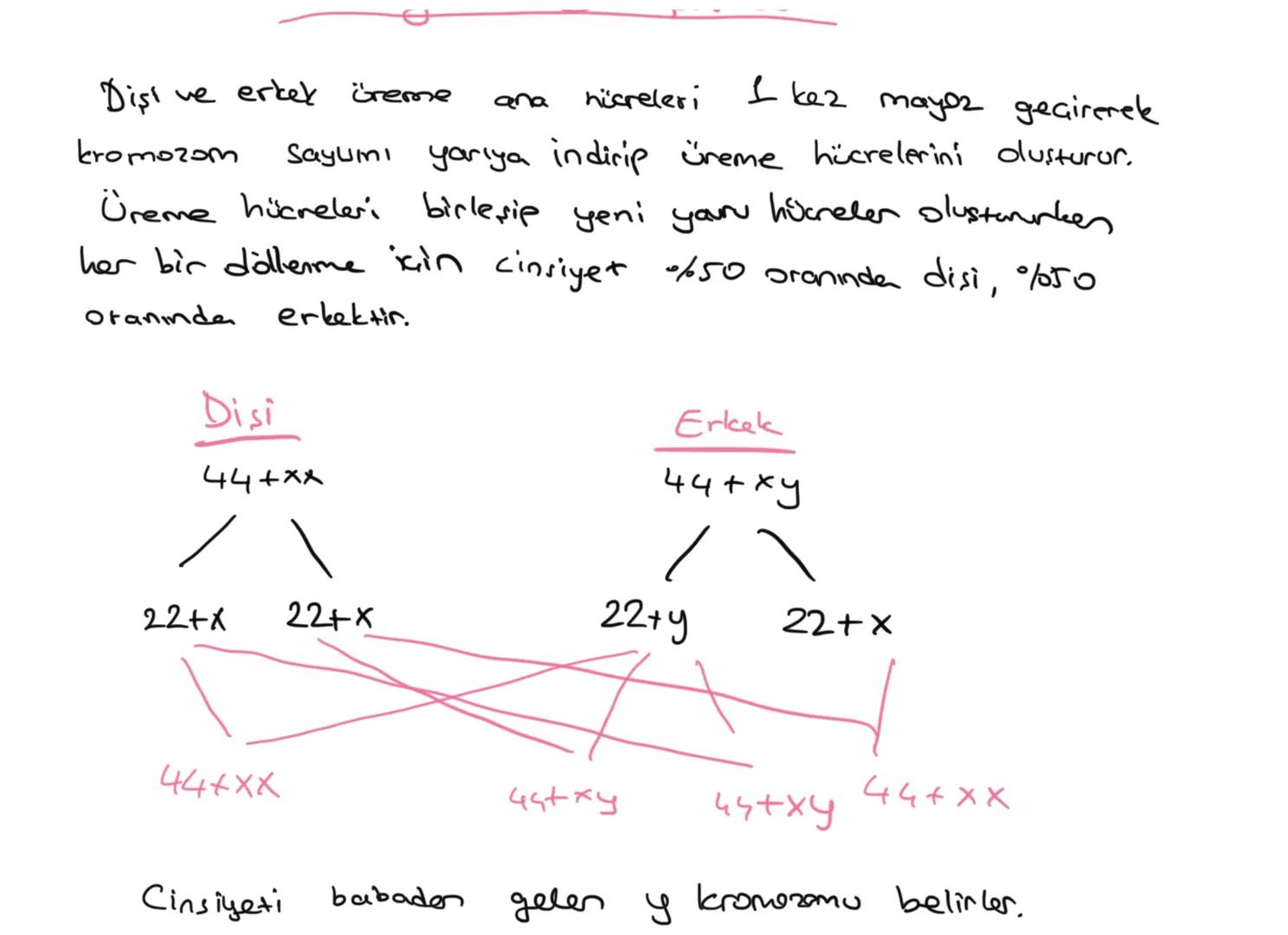 # KALITIM

Kalıtım: Canlılara ait özelliklerin nesilden nesile
aktarılması olayıdır.

Genetik: Kalıtımla ilgili çalışma yapon bilim dalıdır.