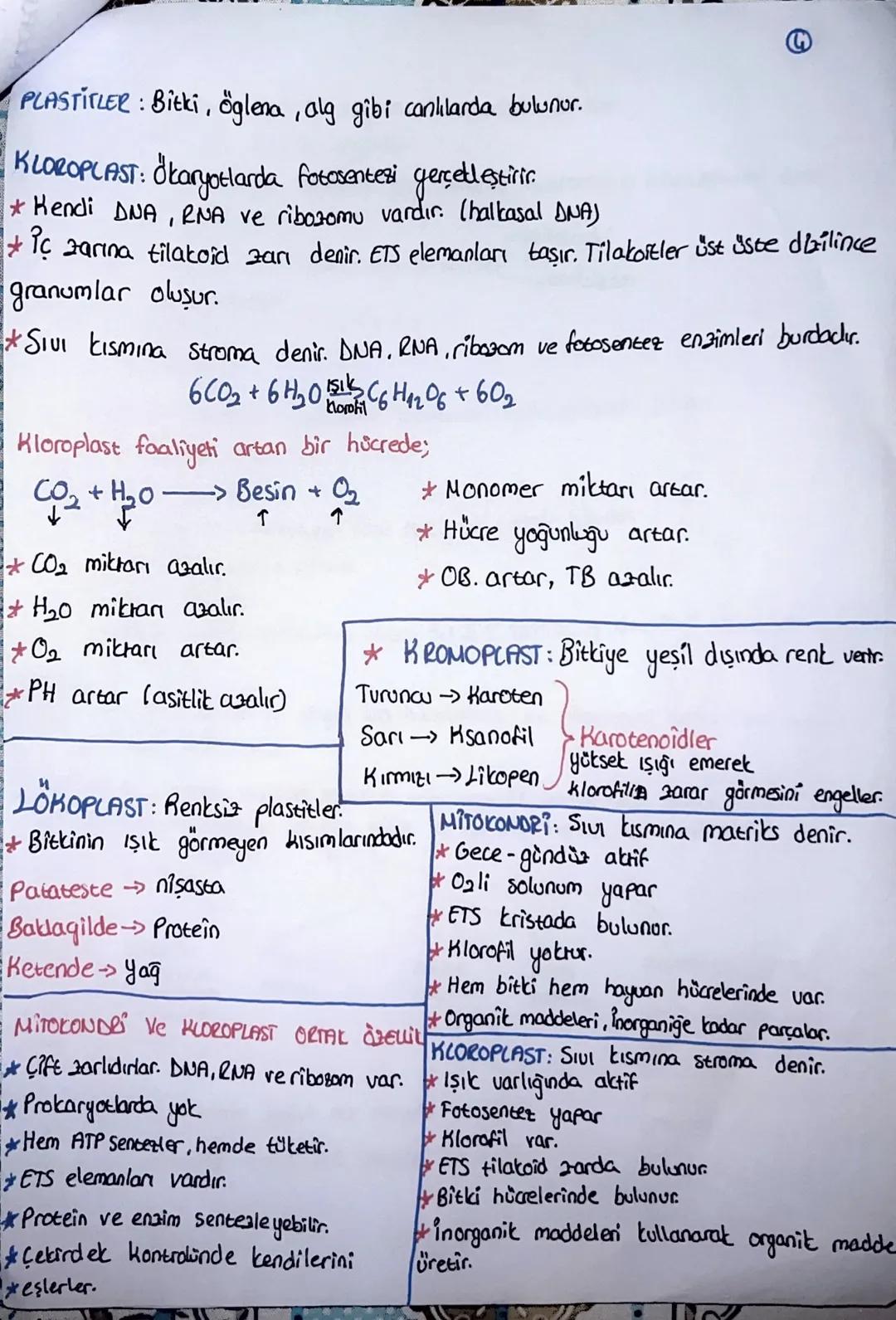 PLASTITLER: Bitki, öglena, alg gibi canlılarda bulunur.
KLOROPLAST: Okaryotlarda fotosentezi gerçekleştirir.
* Kendi DNA, RNA ve ribozomu va