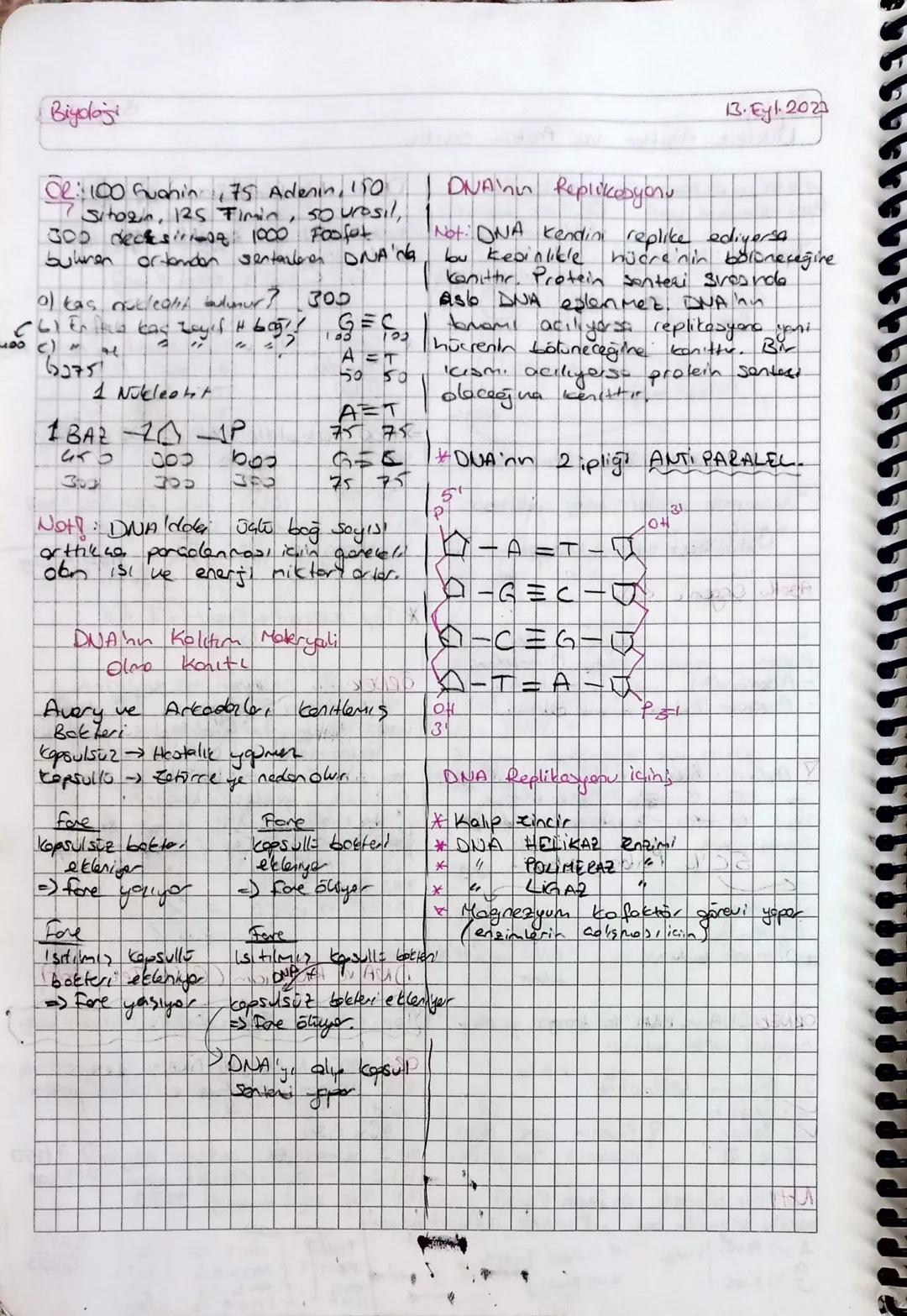 Biydaj:
Nucleik Asitler ve Protein Senteri
CONA VRNA -> Tom conlilerde
13 Eyl-2023
DNA iain (auft zincic)
"polinukleotiet yapılı
ORTAK bulun