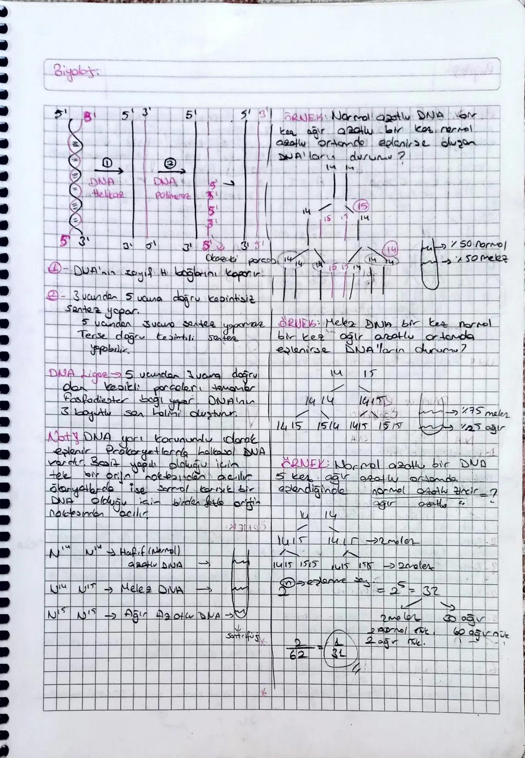 Biydaj:
Nucleik Asitler ve Protein Senteri
CONA VRNA -> Tom conlilerde
13 Eyl-2023
DNA iain (auft zincic)
"polinukleotiet yapılı
ORTAK bulun