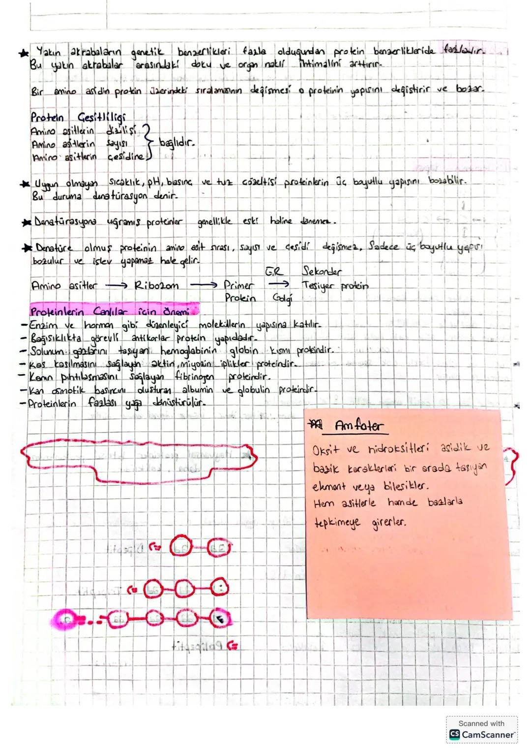 PROTEINLER
- Canlıların yapışında en fazla bukinan organik bileşik.
Yapısında karbon (C), hidrogen (H), oksigen (0), we a30+ (N) mutlaka bul