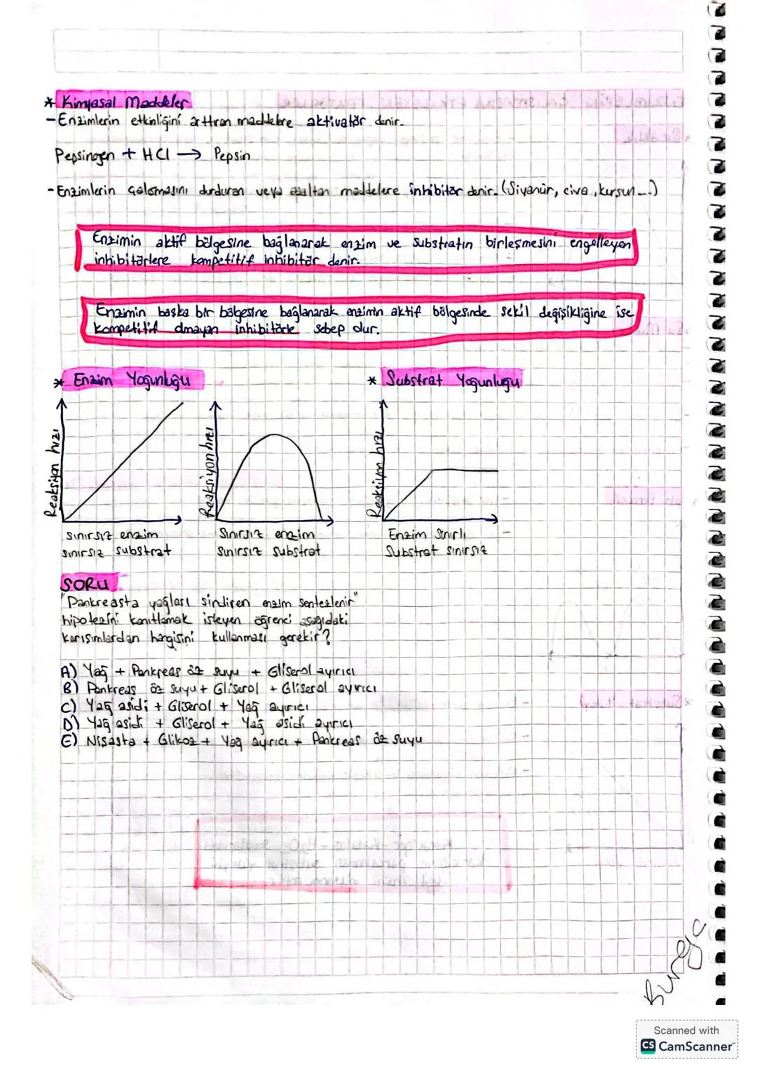 PROTEINLER
- Canlıların yapışında en fazla bukinan organik bileşik.
Yapısında karbon (C), hidrogen (H), oksigen (0), we a30+ (N) mutlaka bul