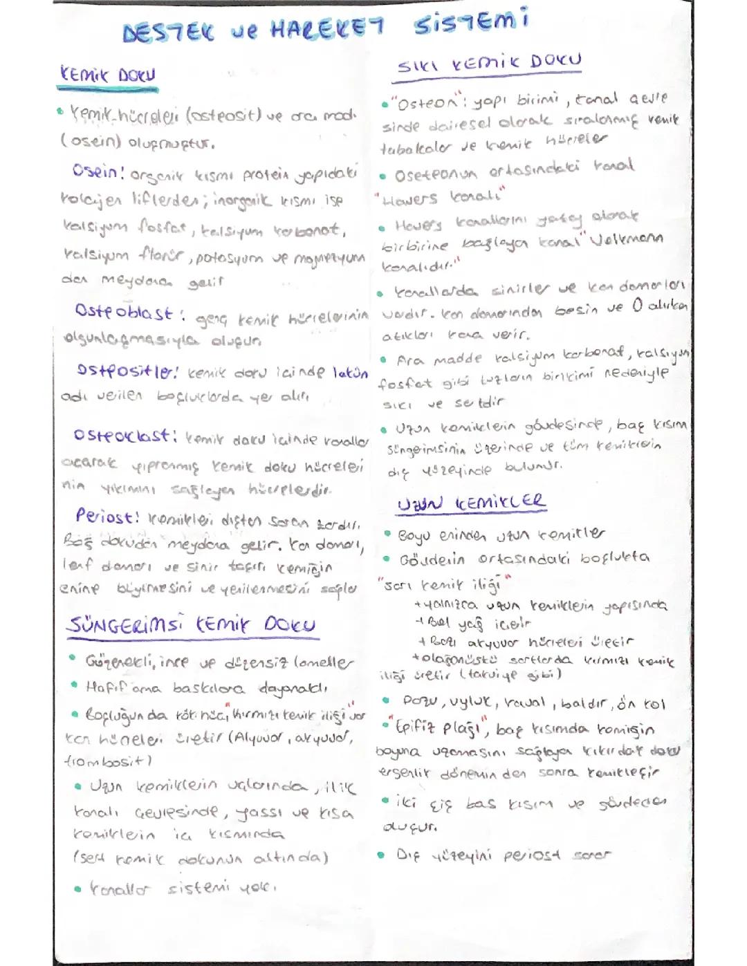 11.Sınıf Biyoloji Destek ve Hareket Sistemi 