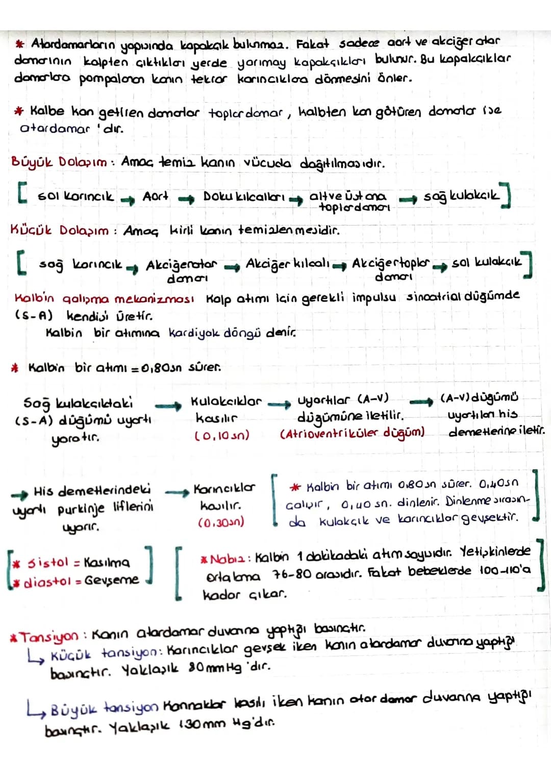 DOLAŞIM SİSTEMİ
*Kalp, kan ve damarlardan oluşur.
KALP
* insanlarda kalp & odacıklıdır. (2 kulakçık + 2 karıncık)
* Temia kan kalpte ve vücu