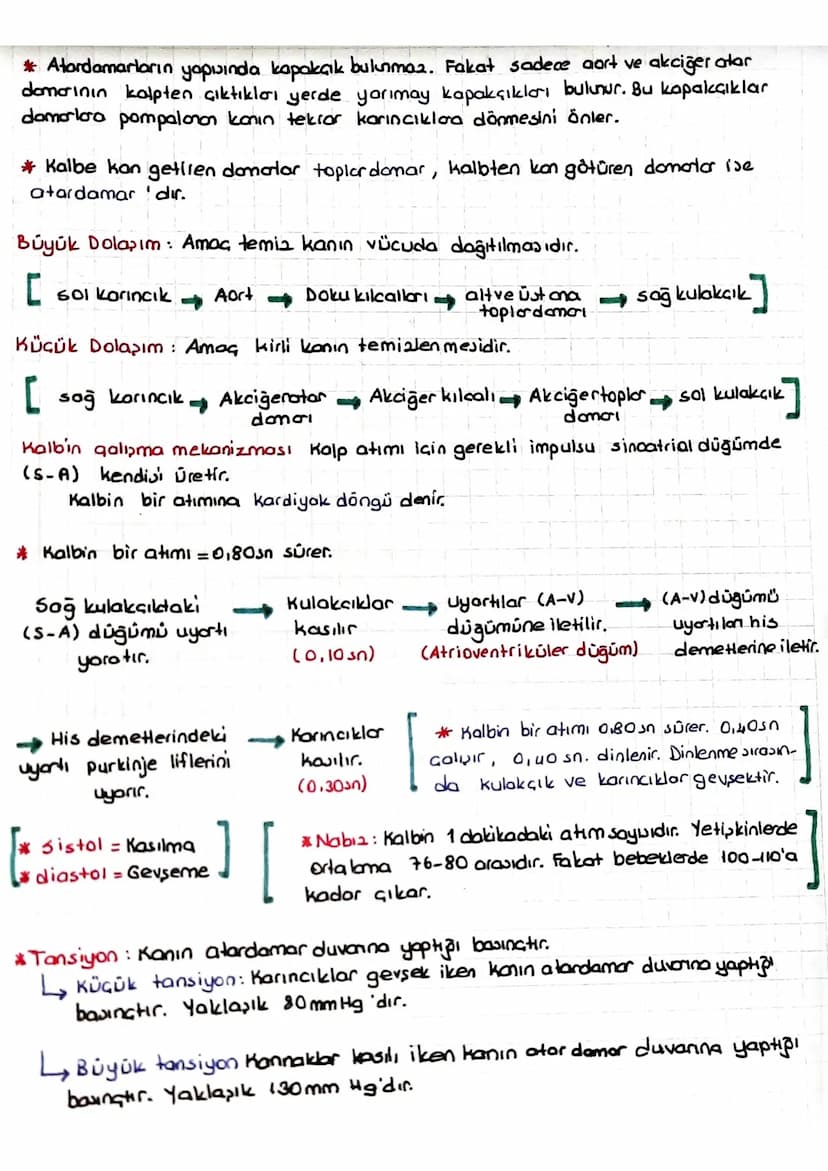 DOLAŞIM SİSTEMİ
*Kalp, kan ve damarlardan oluşur.
KALP
* insanlarda kalp & odacıklıdır. (2 kulakçık + 2 karıncık)
* Temia kan kalpte ve vücu