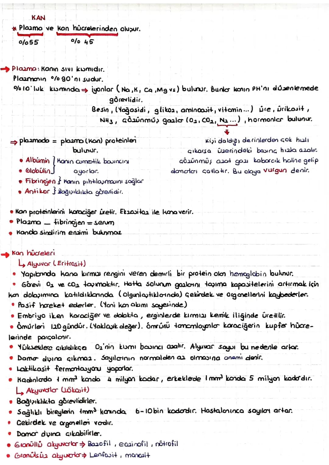 DOLAŞIM SİSTEMİ
*Kalp, kan ve damarlardan oluşur.
KALP
* insanlarda kalp & odacıklıdır. (2 kulakçık + 2 karıncık)
* Temia kan kalpte ve vücu