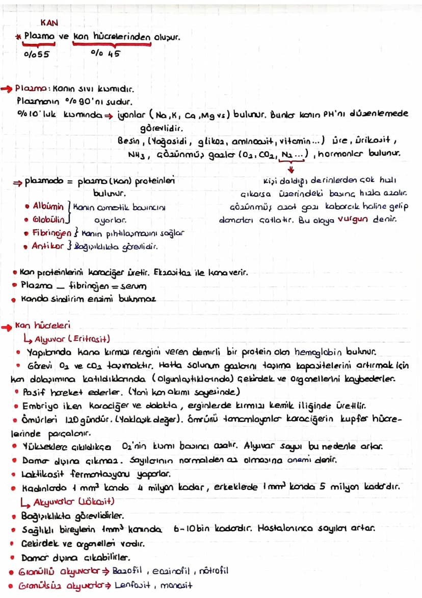 DOLAŞIM SİSTEMİ
*Kalp, kan ve damarlardan oluşur.
KALP
* insanlarda kalp & odacıklıdır. (2 kulakçık + 2 karıncık)
* Temia kan kalpte ve vücu