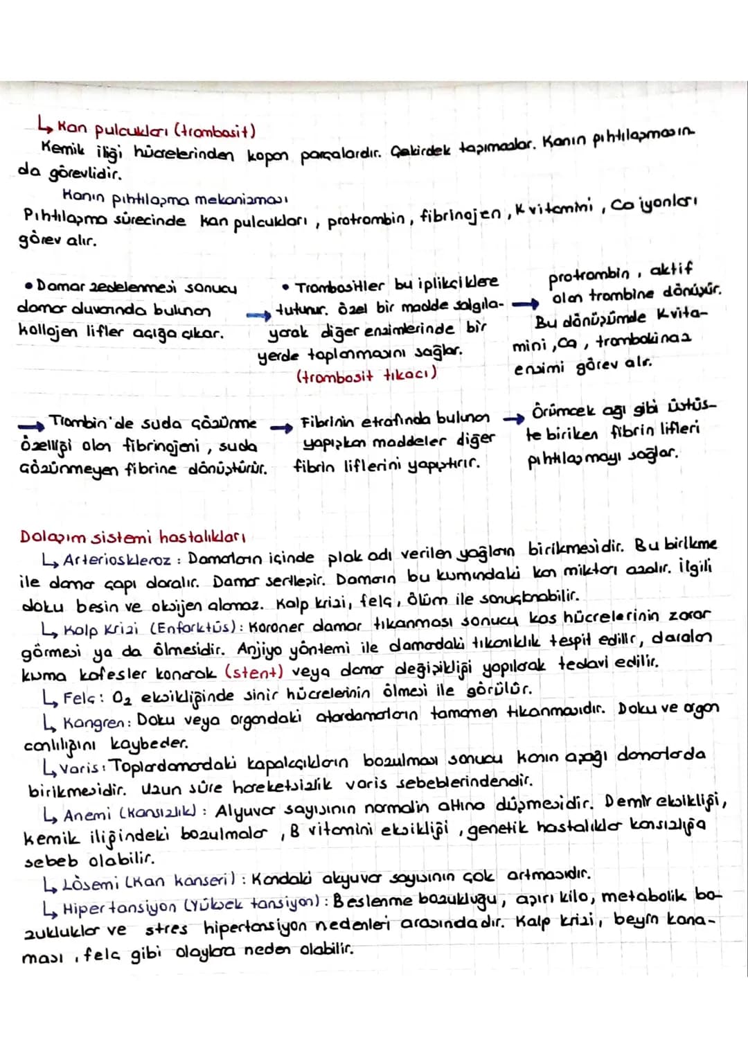 DOLAŞIM SİSTEMİ
*Kalp, kan ve damarlardan oluşur.
KALP
* insanlarda kalp & odacıklıdır. (2 kulakçık + 2 karıncık)
* Temia kan kalpte ve vücu