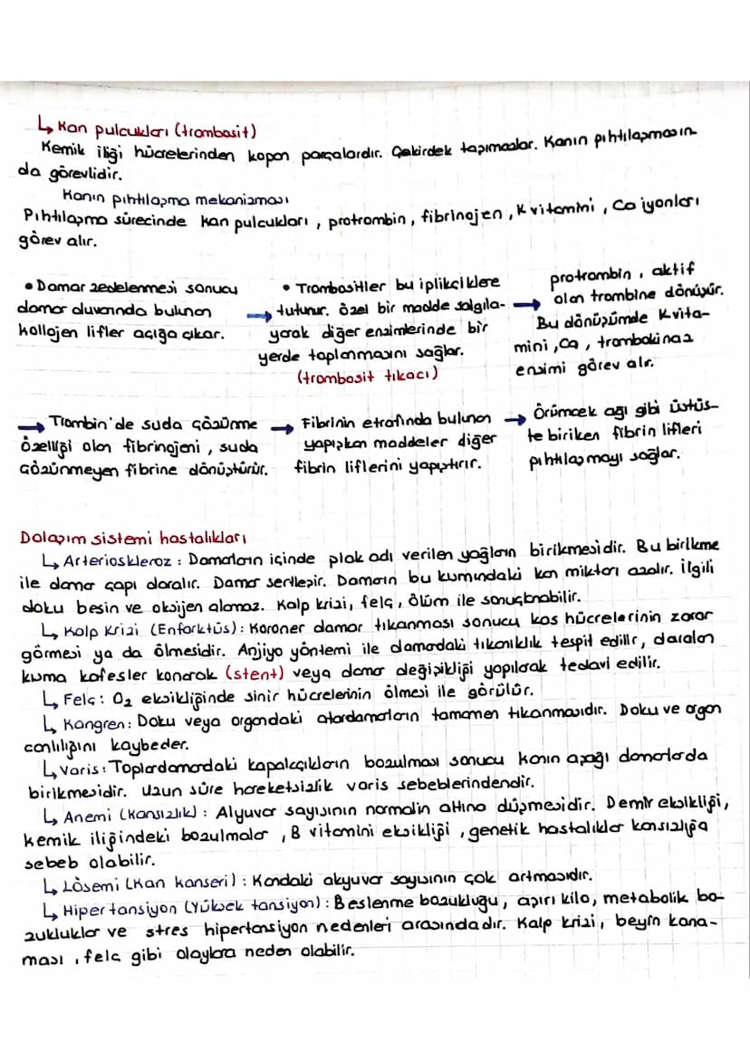 DOLAŞIM SİSTEMİ
*Kalp, kan ve damarlardan oluşur.
KALP
* insanlarda kalp & odacıklıdır. (2 kulakçık + 2 karıncık)
* Temia kan kalpte ve vücu