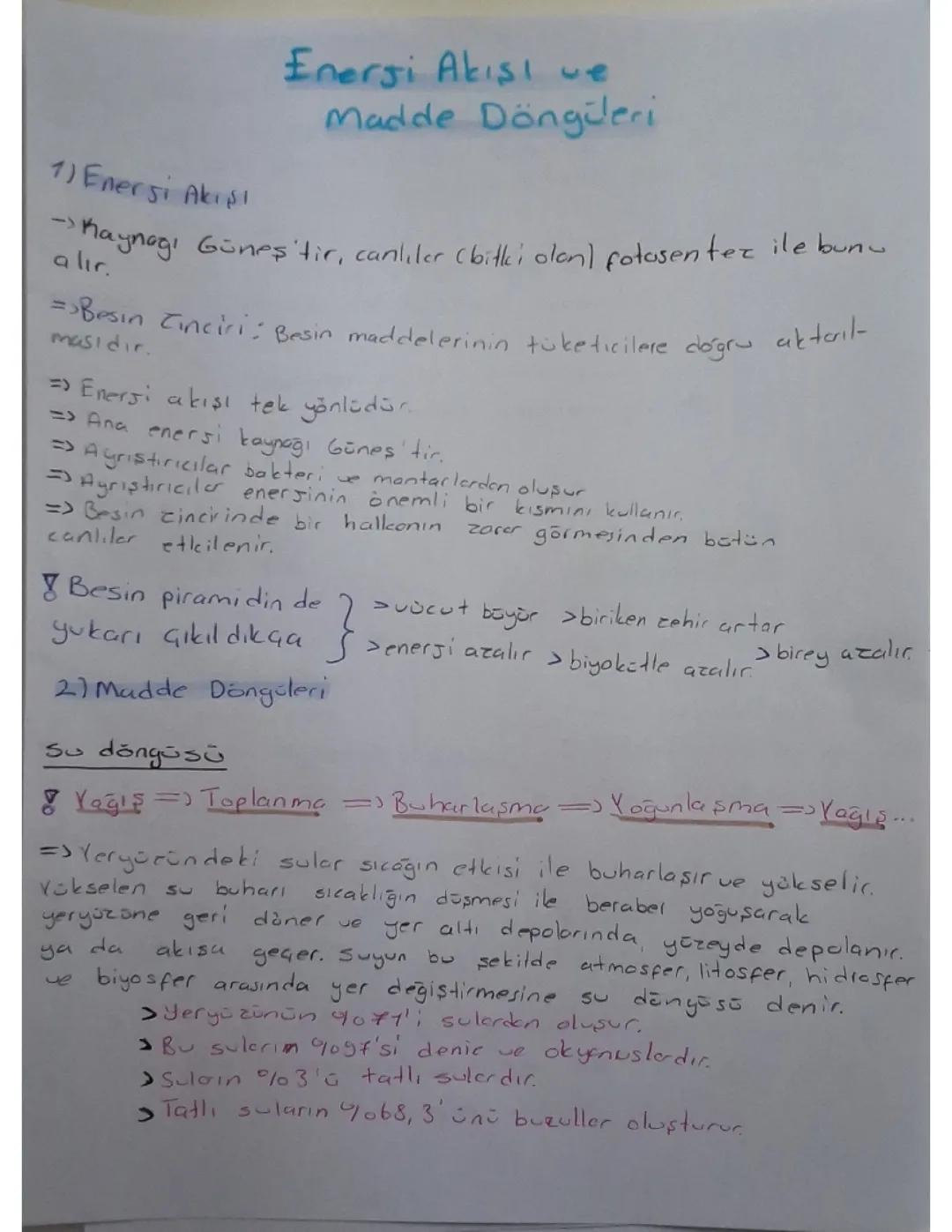 Enerji akışı ve madde döngüleri