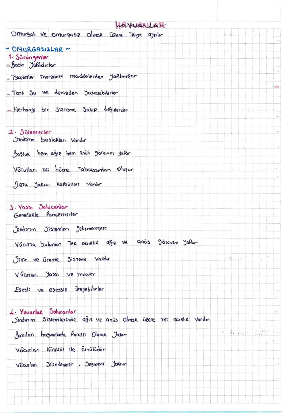 # Hayvanlar

Omurgah ve omurgasız olmak üzere ikiye ayrılır

OMURGASIZLAR ~

1. Sürüngenler

-Basıt yapılıdırlar

Tskeletler inorganik madde