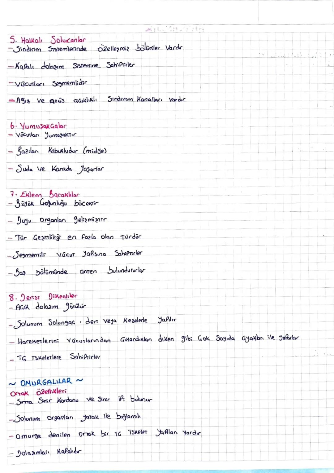 # Hayvanlar

Omurgah ve omurgasız olmak üzere ikiye ayrılır

OMURGASIZLAR ~

1. Sürüngenler

-Basıt yapılıdırlar

Tskeletler inorganik madde