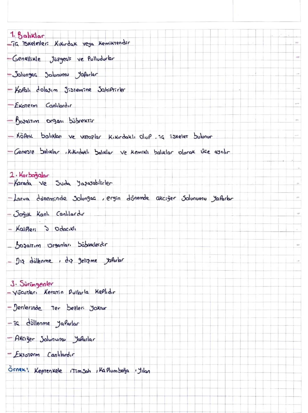 # Hayvanlar

Omurgah ve omurgasız olmak üzere ikiye ayrılır

OMURGASIZLAR ~

1. Sürüngenler

-Basıt yapılıdırlar

Tskeletler inorganik madde