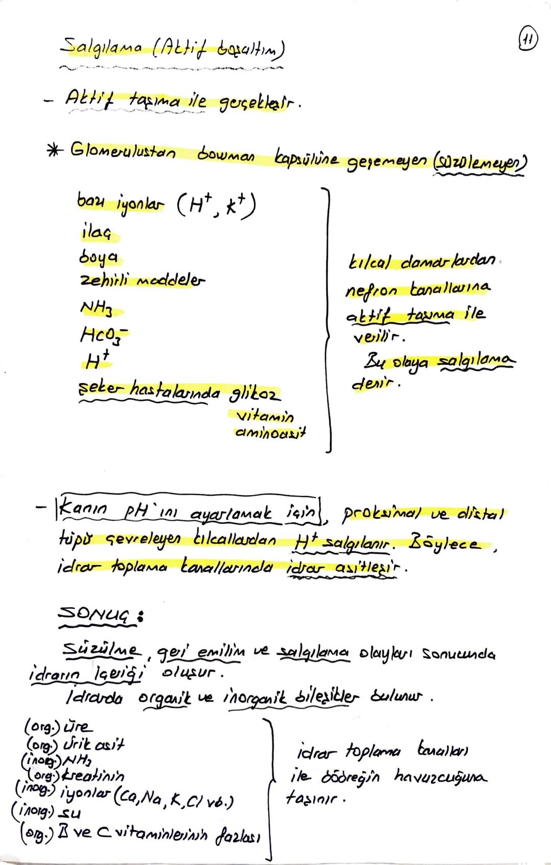 блемі

BOŞALTIM SİSTEMİ

Homeostasının (kararlı iç dengesin) korunmasını sağlar.

Boşaltım sistemi Organları

① Böbrekler (2 tane)

Üreter (