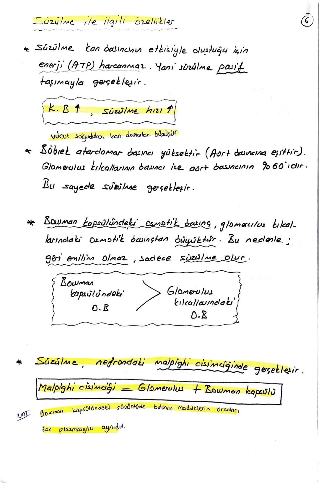 блемі

BOŞALTIM SİSTEMİ

Homeostasının (kararlı iç dengesin) korunmasını sağlar.

Boşaltım sistemi Organları

① Böbrekler (2 tane)

Üreter (