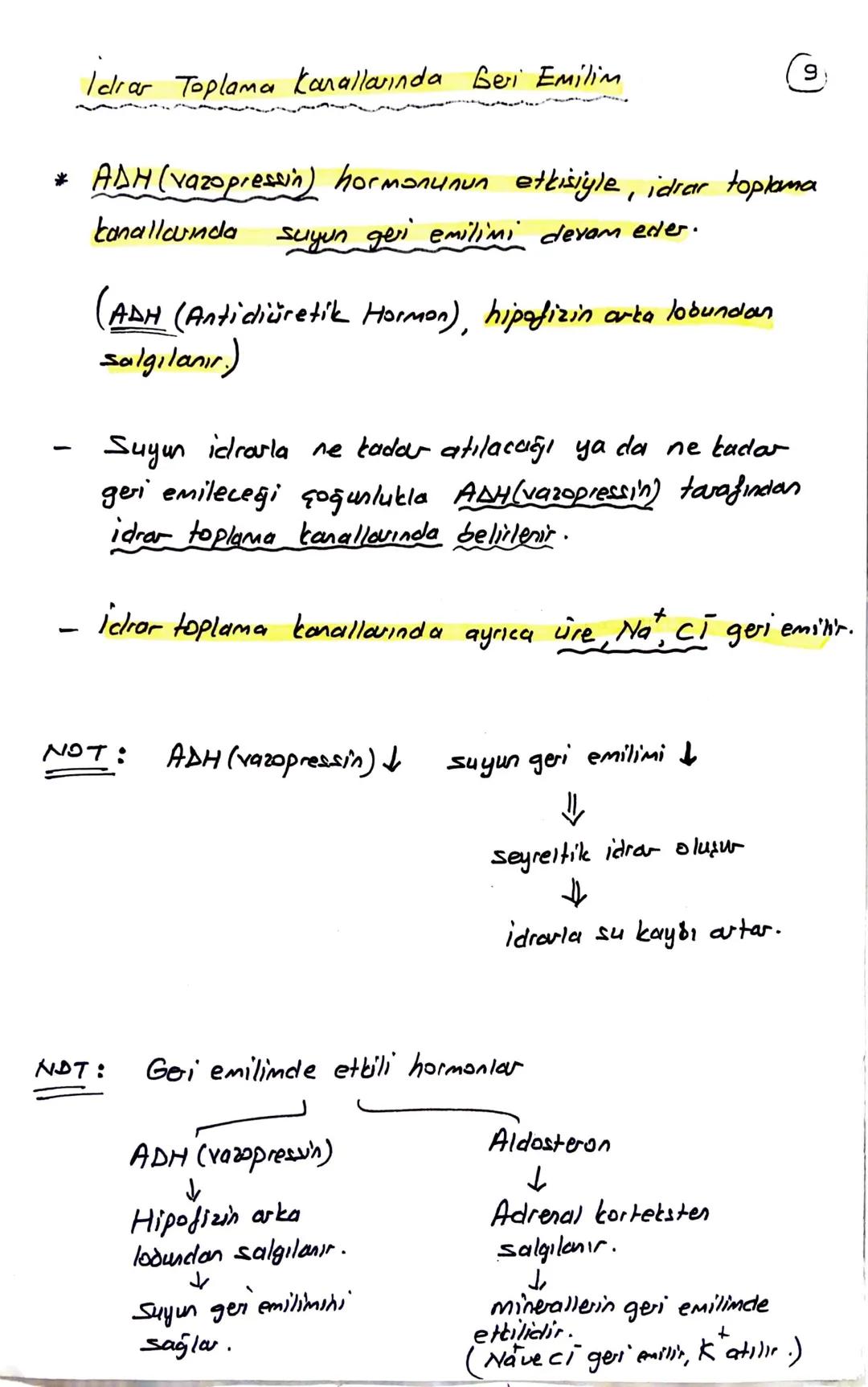 блемі

BOŞALTIM SİSTEMİ

Homeostasının (kararlı iç dengesin) korunmasını sağlar.

Boşaltım sistemi Organları

① Böbrekler (2 tane)

Üreter (