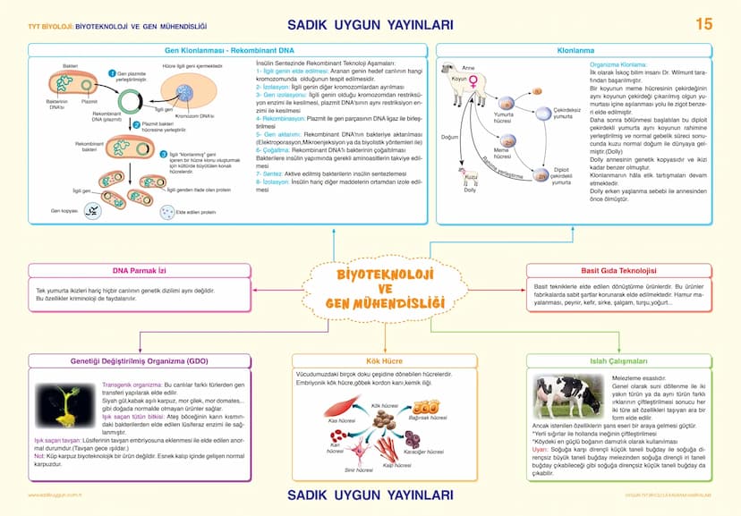 # TYT BİYOLOJİ KALITIM

# SADIK UYGUN YAYINLARI

14

## Kalıtım Terimleri

Kalıtım: Türe ait özelliklerin nesillere aktarımı inceler.

Karak