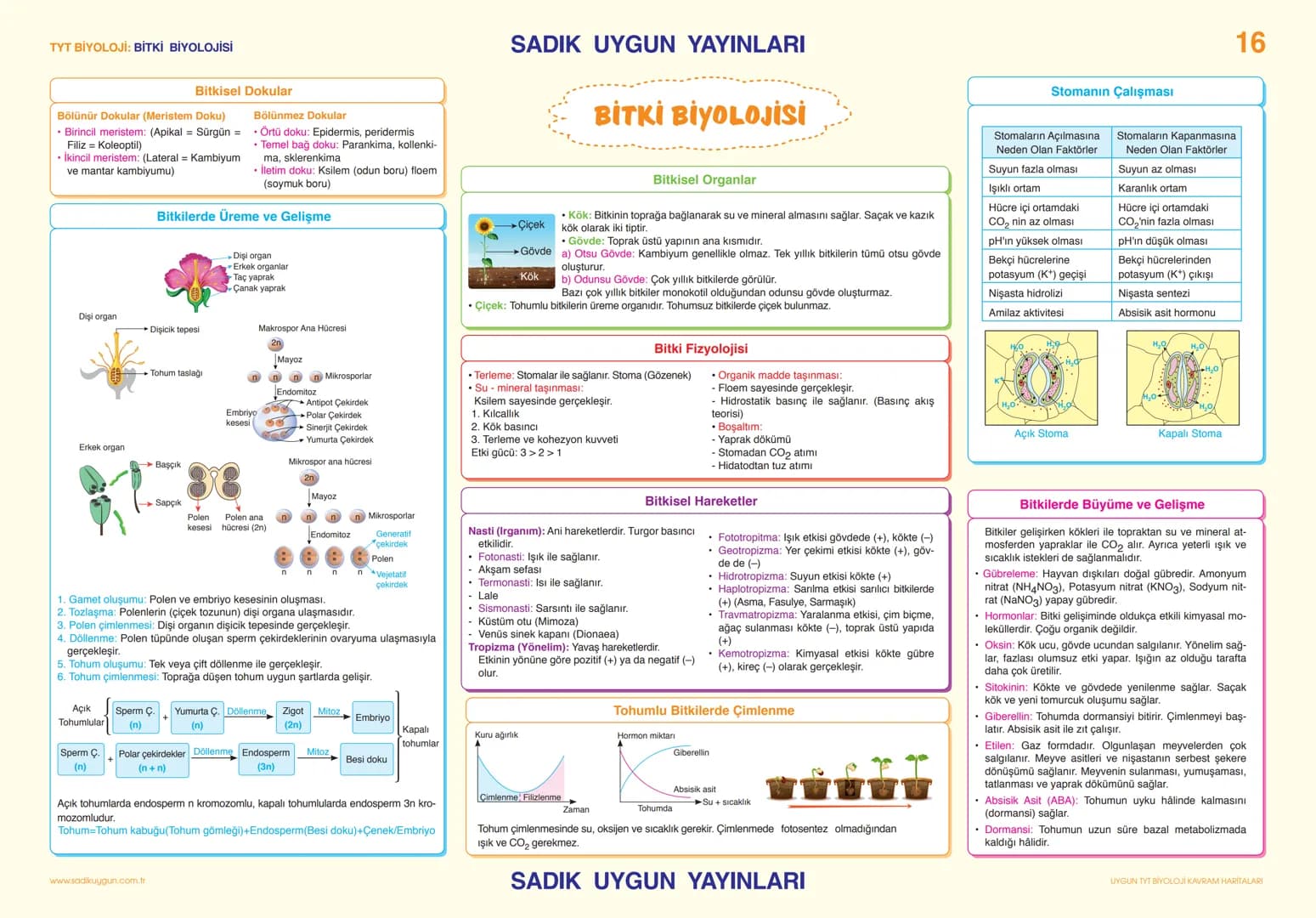 # TYT BİYOLOJİ KALITIM

# SADIK UYGUN YAYINLARI

14

## Kalıtım Terimleri

Kalıtım: Türe ait özelliklerin nesillere aktarımı inceler.

Karak